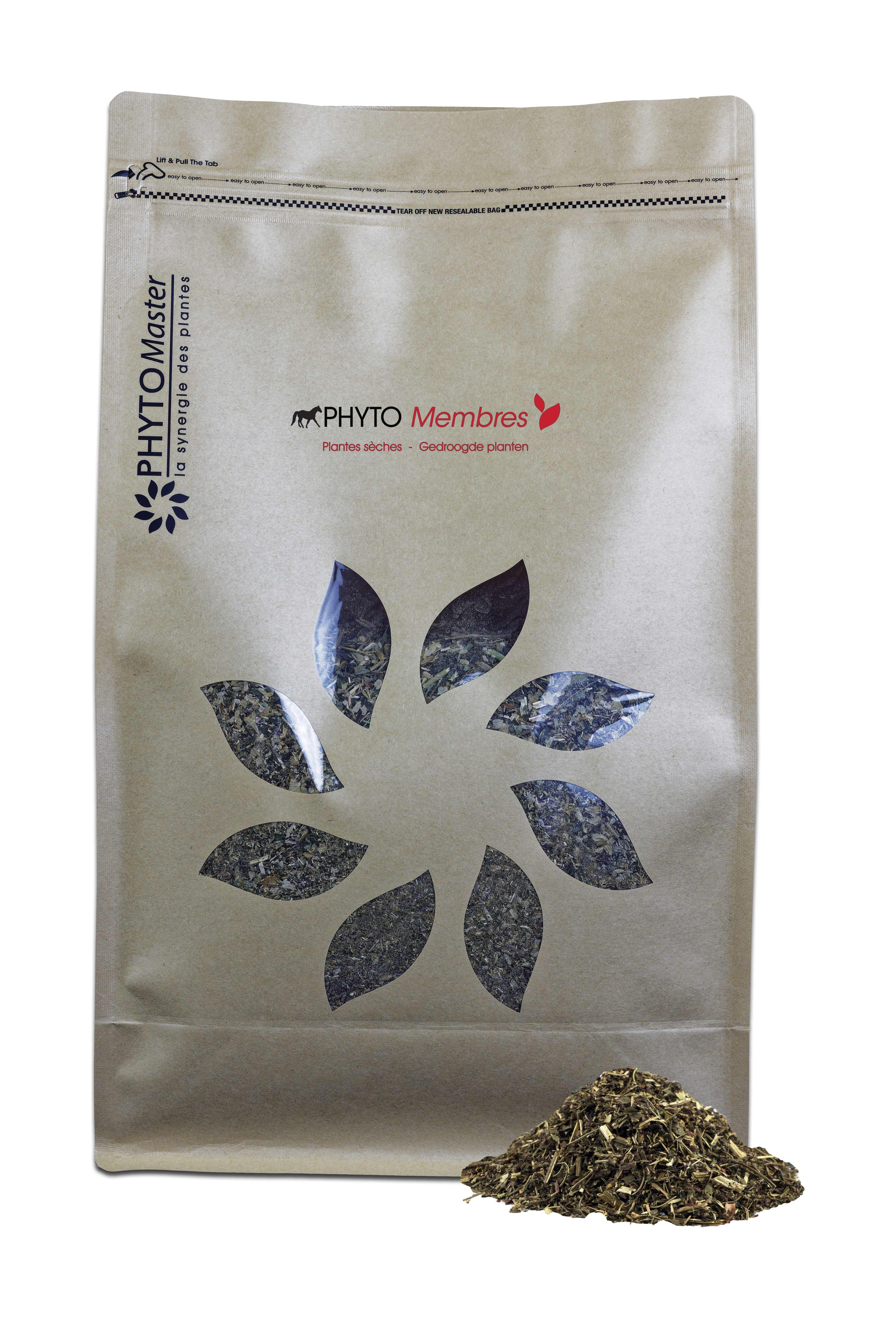Phyto Membres Phyto Master