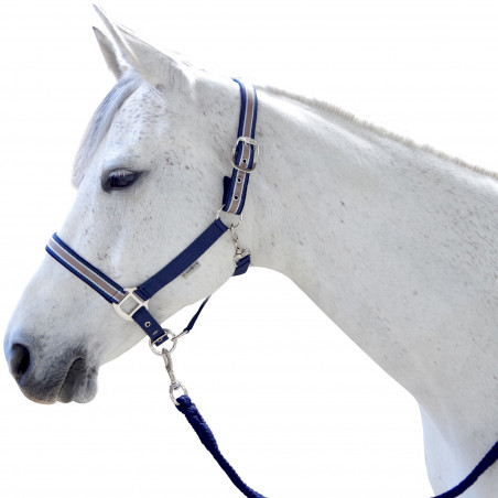 Conjunto de cabresto e guia Doulovo Flags & Cup