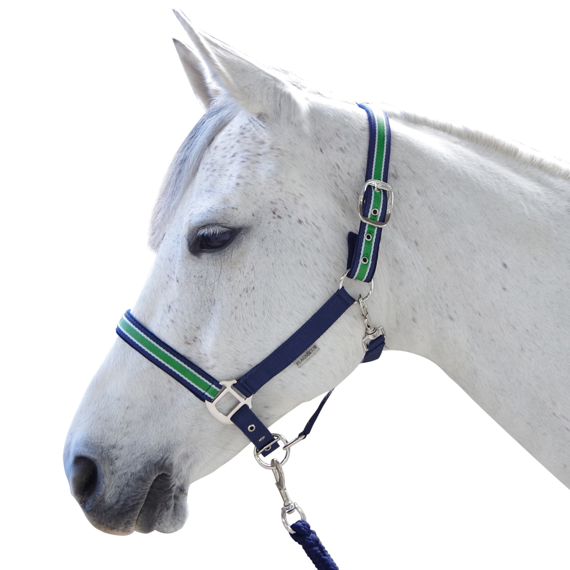 Set licol et longe Doulovo Flags & Cup Marine / vert Set licol et longe Doulovo Flags & Cup Marine / vert