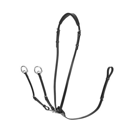 Martingal com argolas Kudos LeMieux