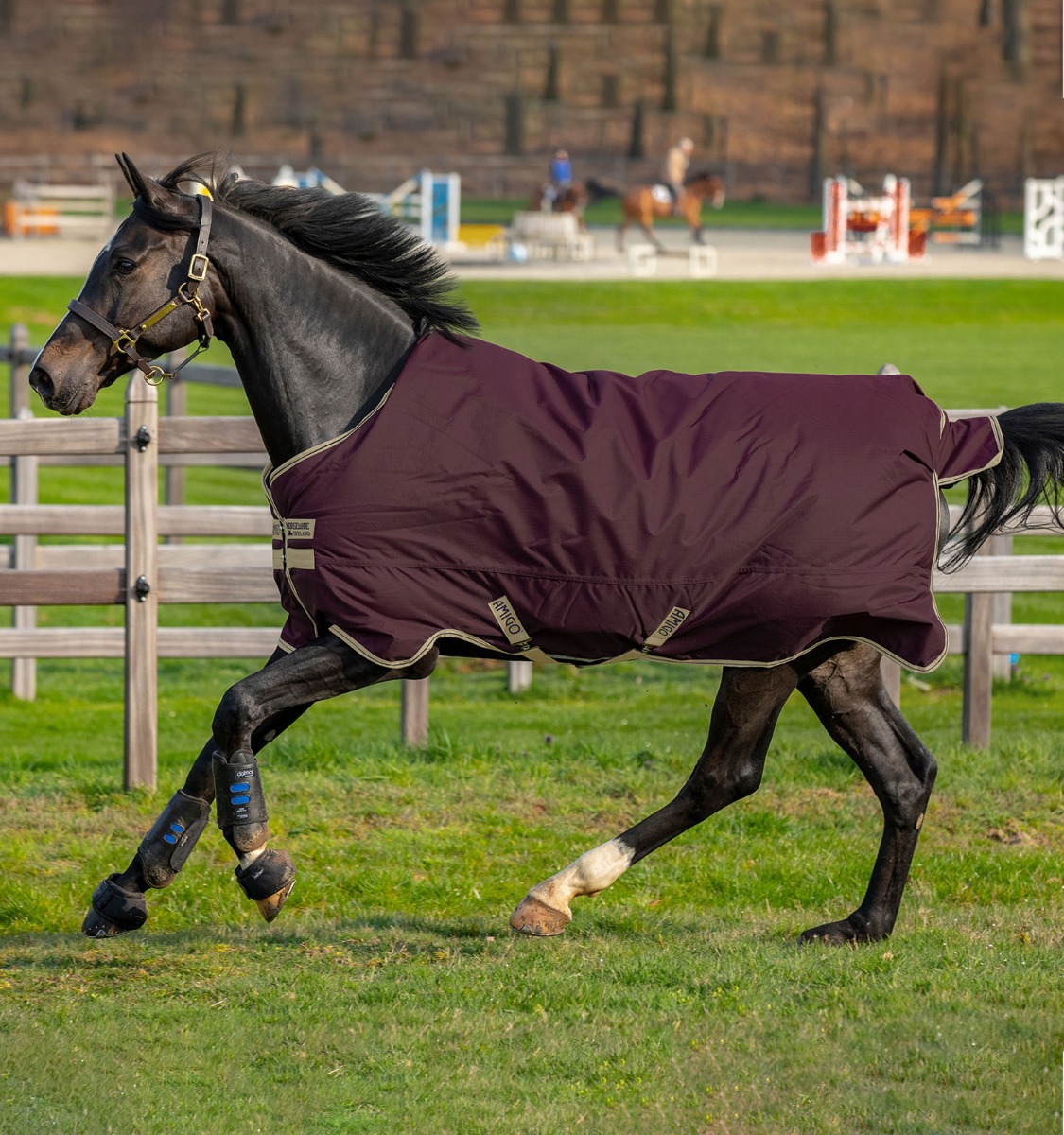 Capa Horseware Amigo Hero Ripstop Lite 0g Figue Violeta