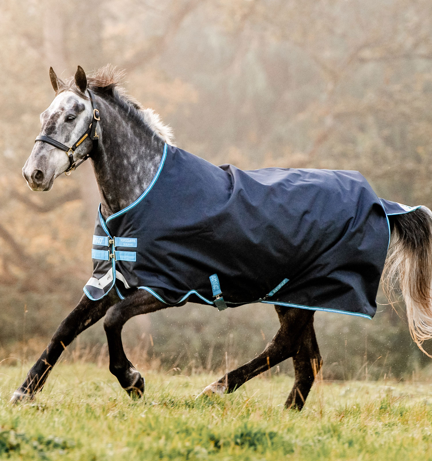 Couverture Horseware Amigo Bravo 12 Original 100g Marine / turquoise Couverture Horseware Amigo Bravo 12 Original 100g Marine / turquoise