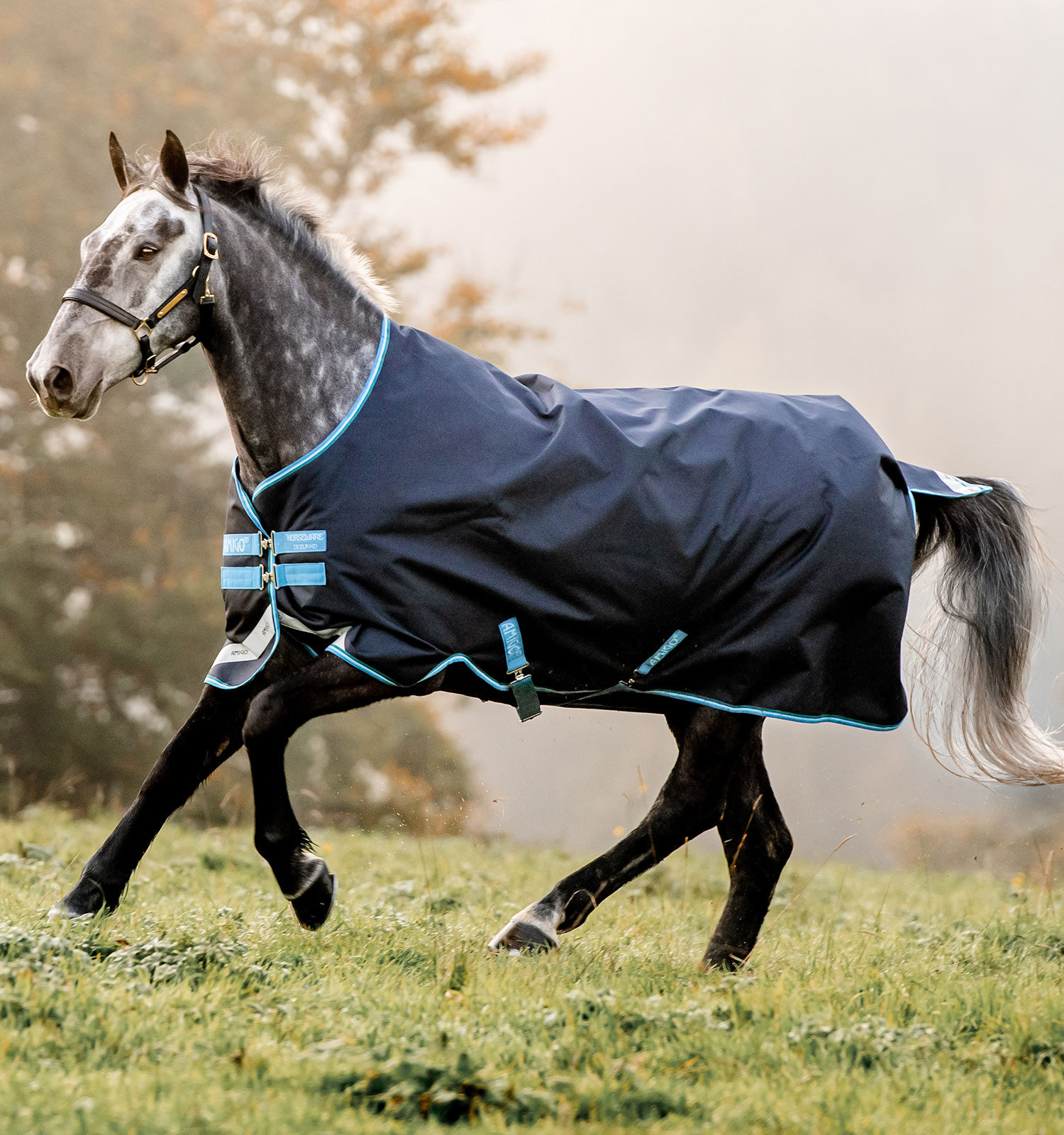 Capa Horseware Amigo Bravo 12 50g Turnout Marinho / turquesa Azul