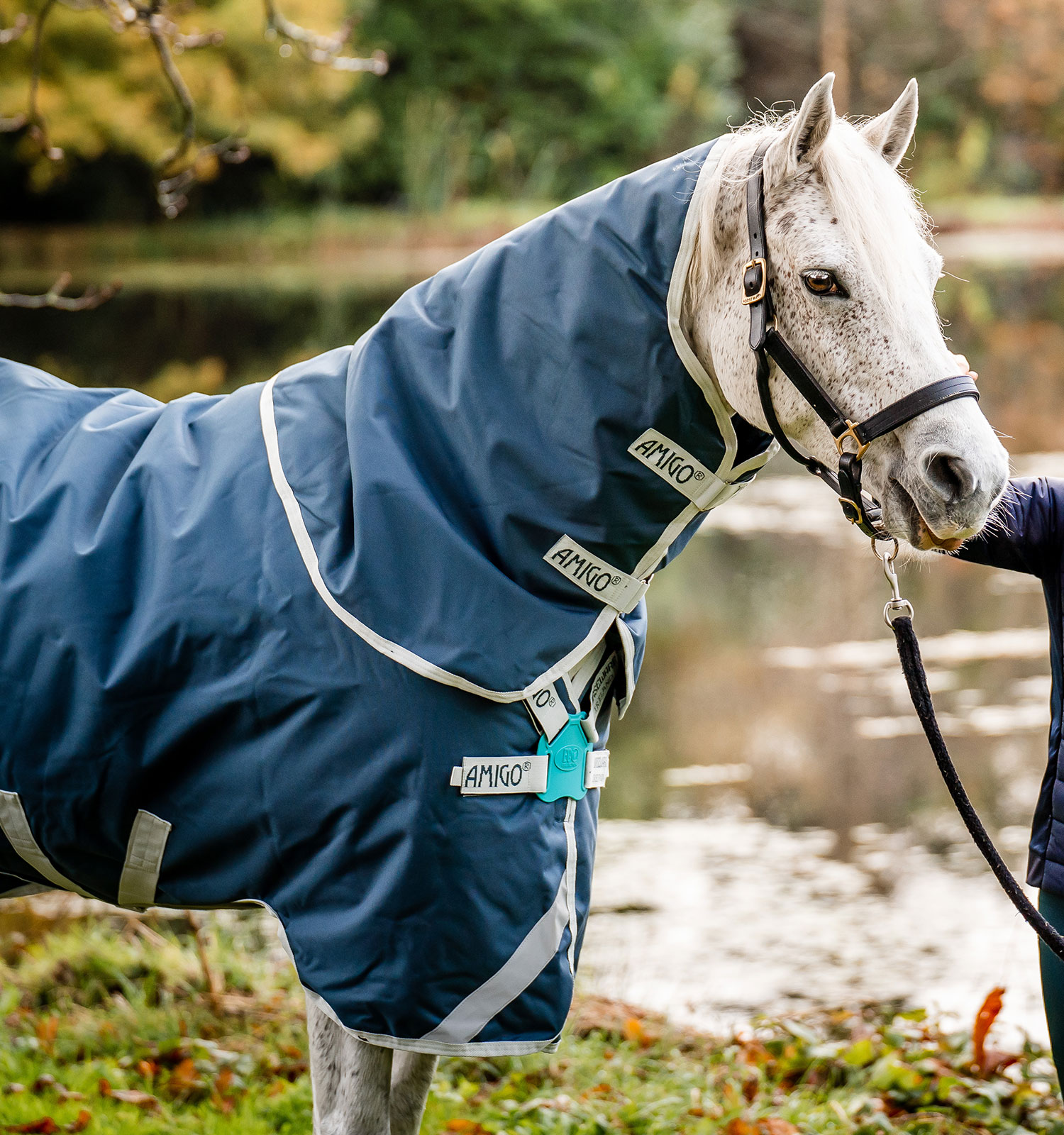 Cobertura Horseware Amigo AmEco 12 Plus 100g Verde-azulado / cinza Cobertura Horseware Amigo AmEco 12 Plus 100g Verde-azulado / cinza