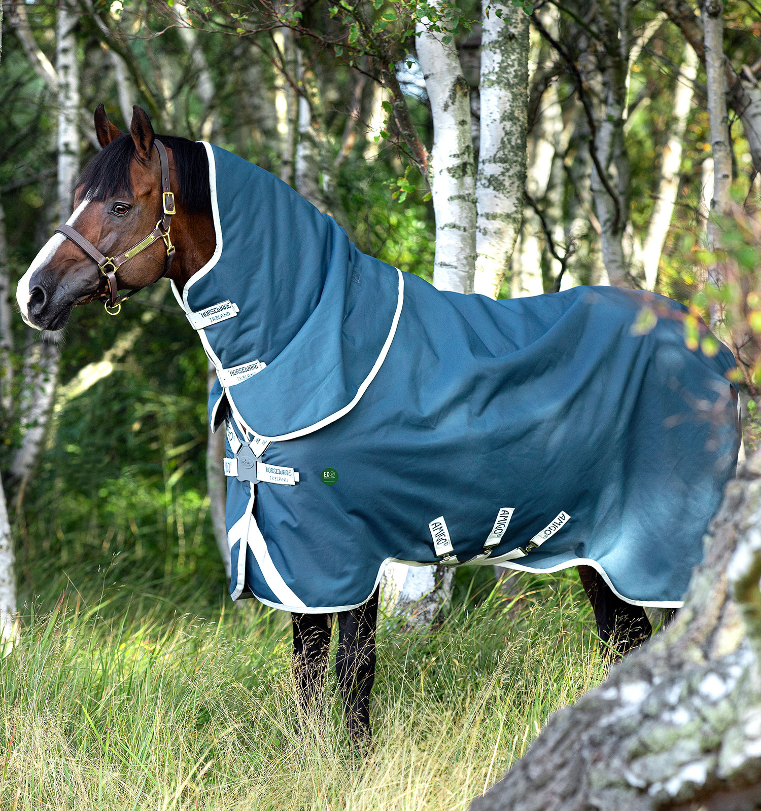 Cobertura Horseware Amigo AmEco 12 Plus 100g Verde-azulado / cinza