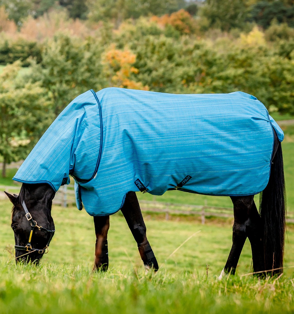 Cobertura Horseware Amigo Hero 900 Revive Plus 50g Azul oceano Cobertura Horseware Amigo Hero 900 Revive Plus 50g Azul oceano