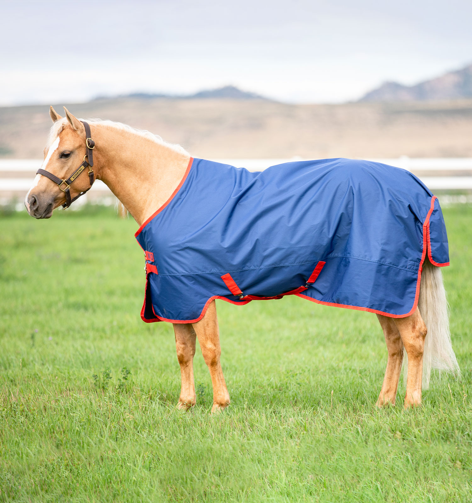 Cobertura Horseware Mio 200g 600D Azul escuro / azul escuro / vermelho
