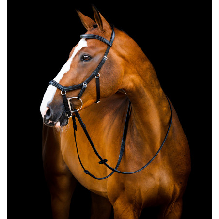 Bridão Horseware Micklem 2 Deluxe Competition