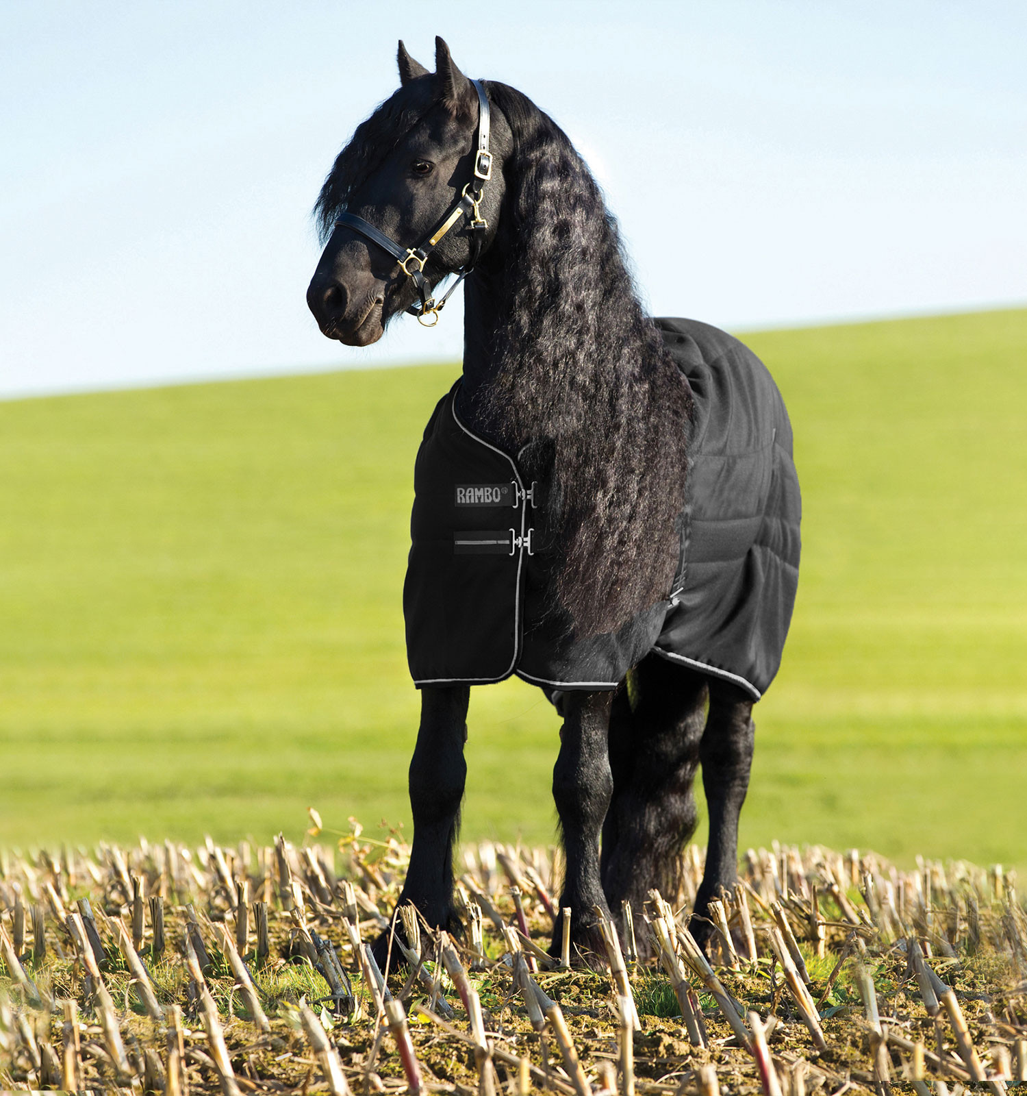 Cobertura de box Horseware Rambo 100g Preto / preto / prata