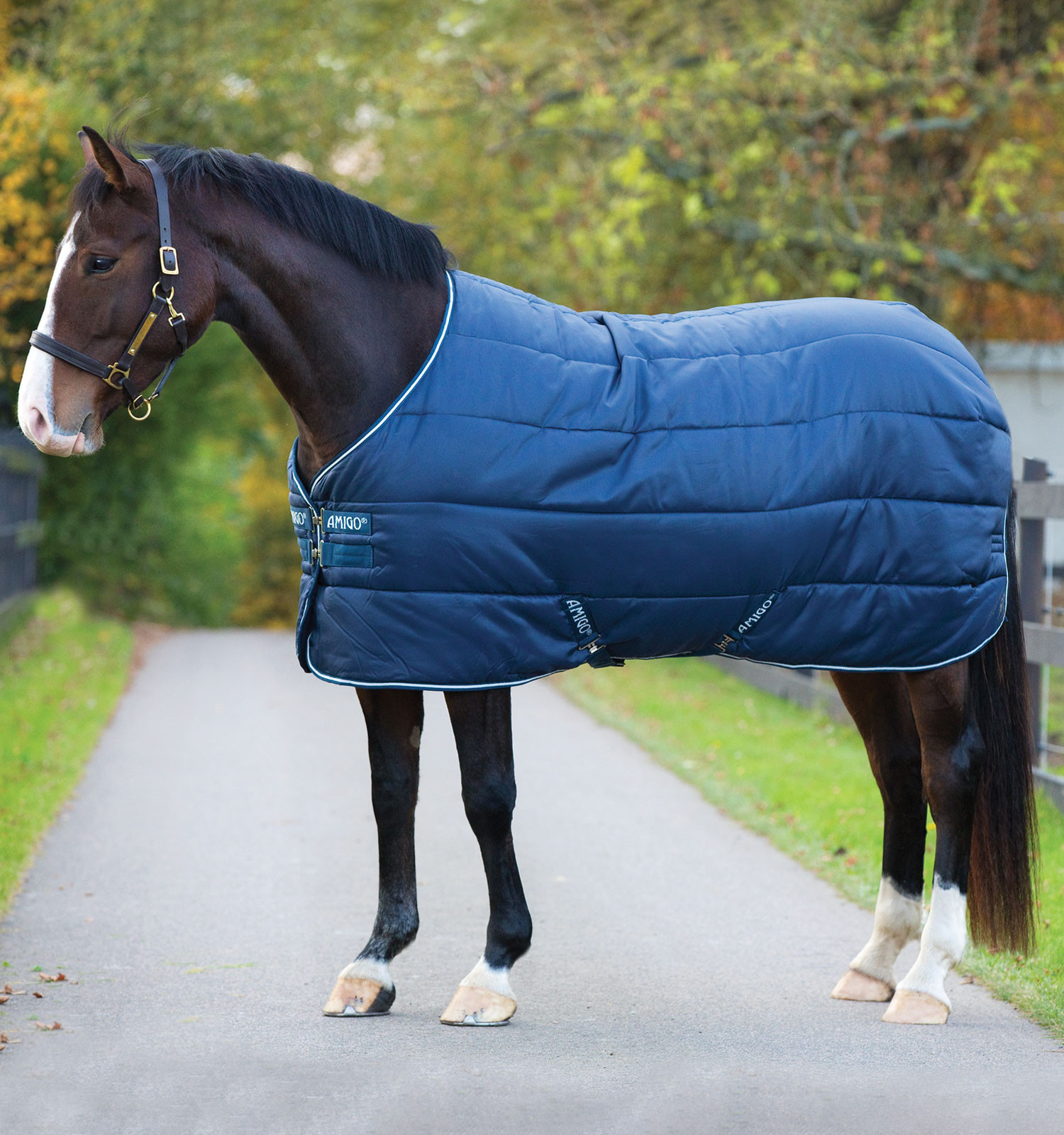 Cobertura Horseware Amigo Insulator 100g Marinho / marinho / branco Azul-marinho