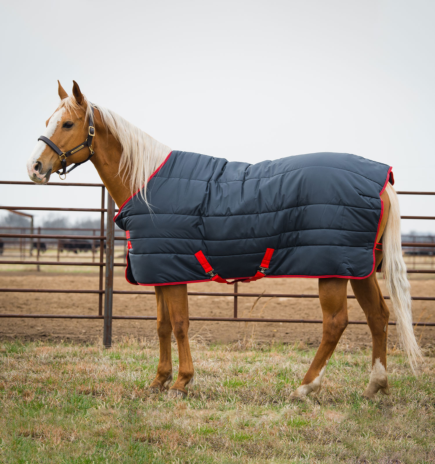 Cobertura de box Horseware Mio Insulator 150g Marinho / vermelho / vermelho Azul-marinho