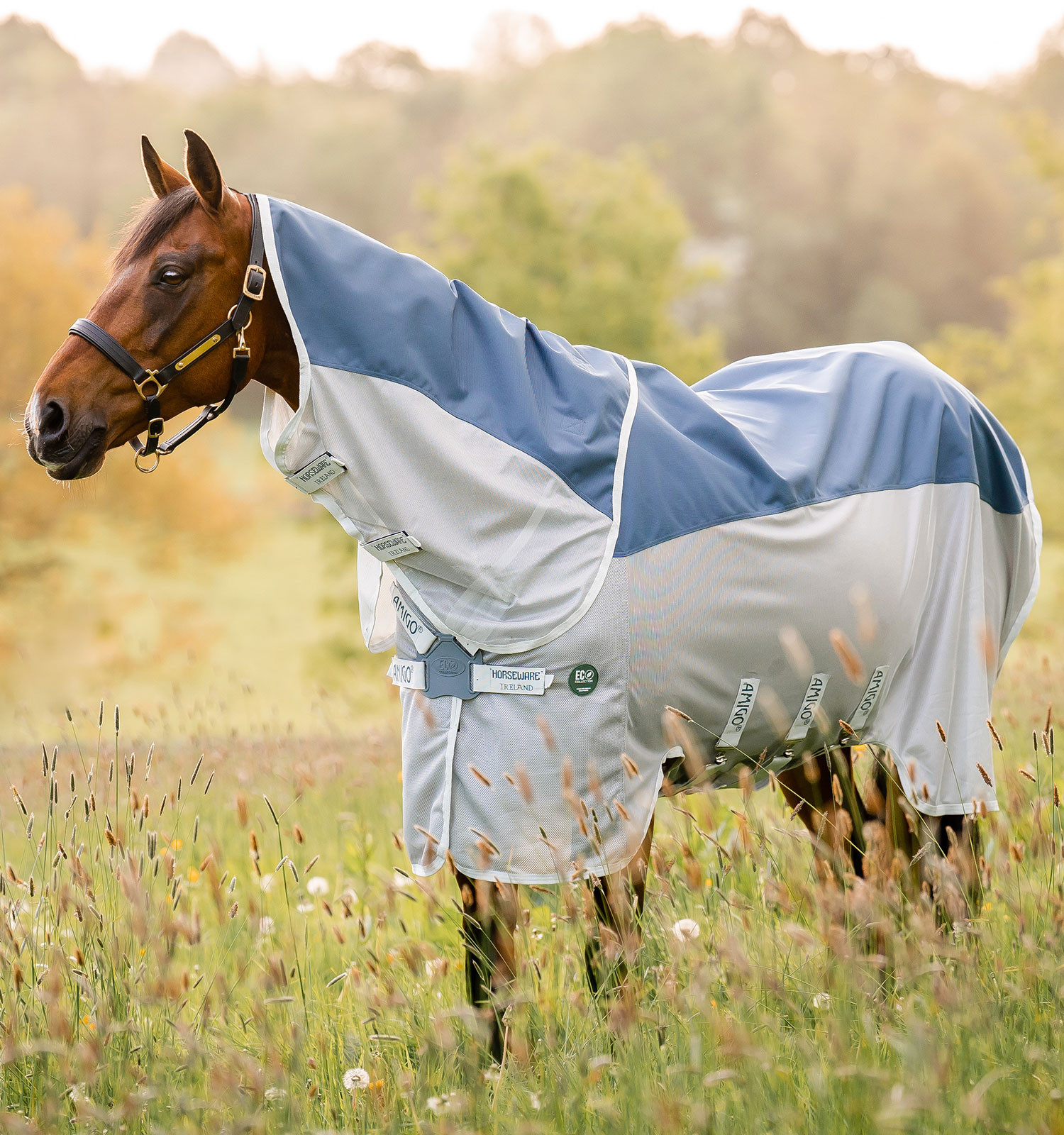Capa anti-moscas Horseware Amigo AmECO Combi 0g Verde-azulado / cinza Capa anti-moscas Horseware Amigo AmECO Combi 0g Verde-azulado / cinza