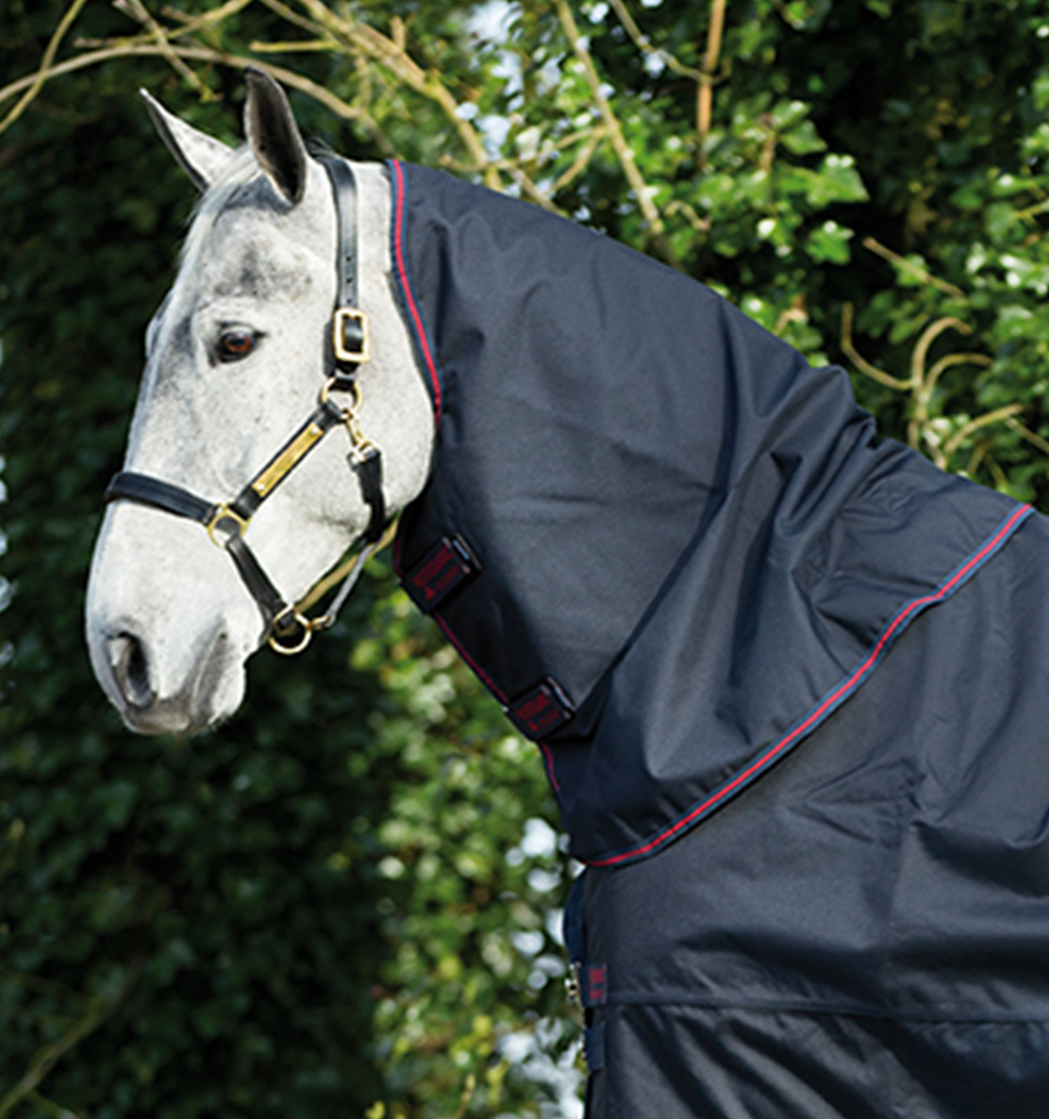 Cobre-pescoço Horseware 0g para manta Amigo XL Marinho / marinho / Vermelho Azul-marinho