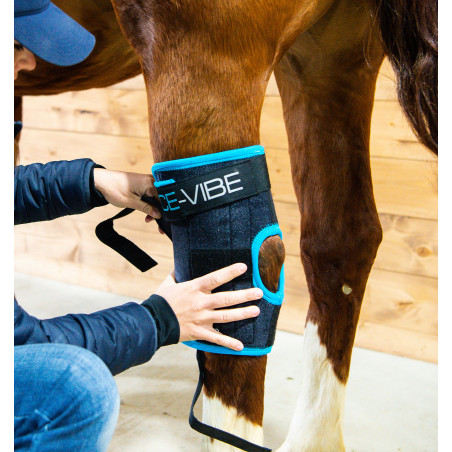 Protetores de jarrete Horseware Ice-Vibe