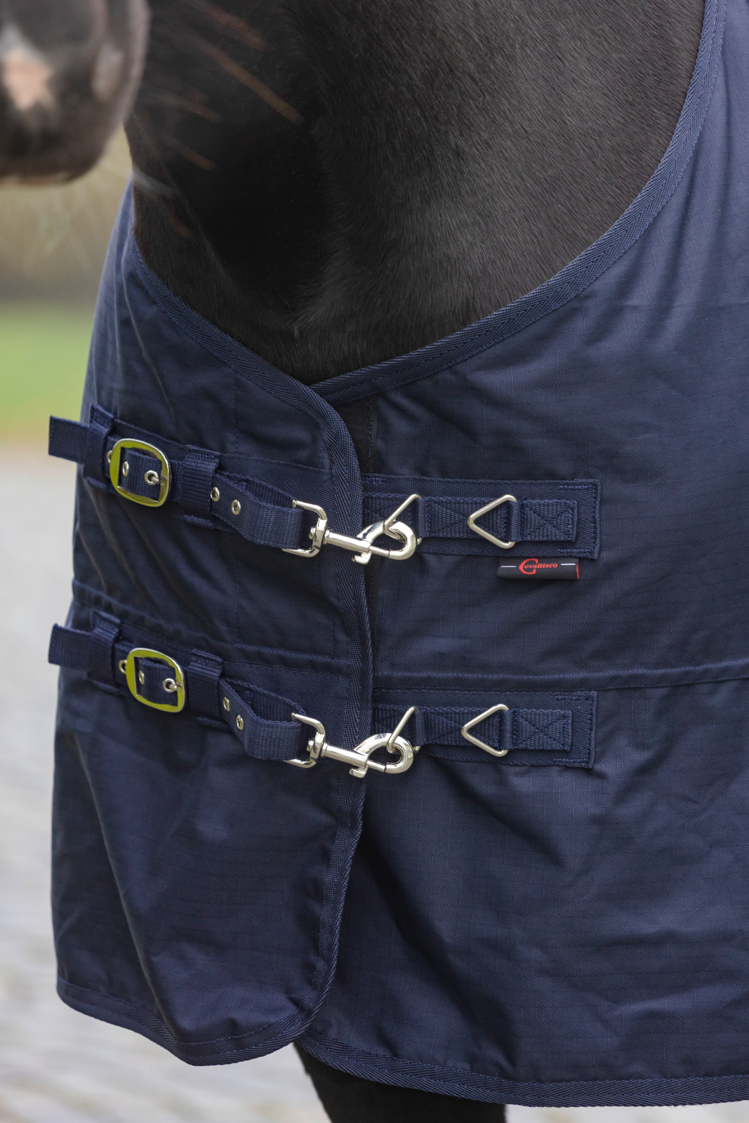 Capa de inverno RugBe IceProtect 300 Covalliero Marinho escuro Azul