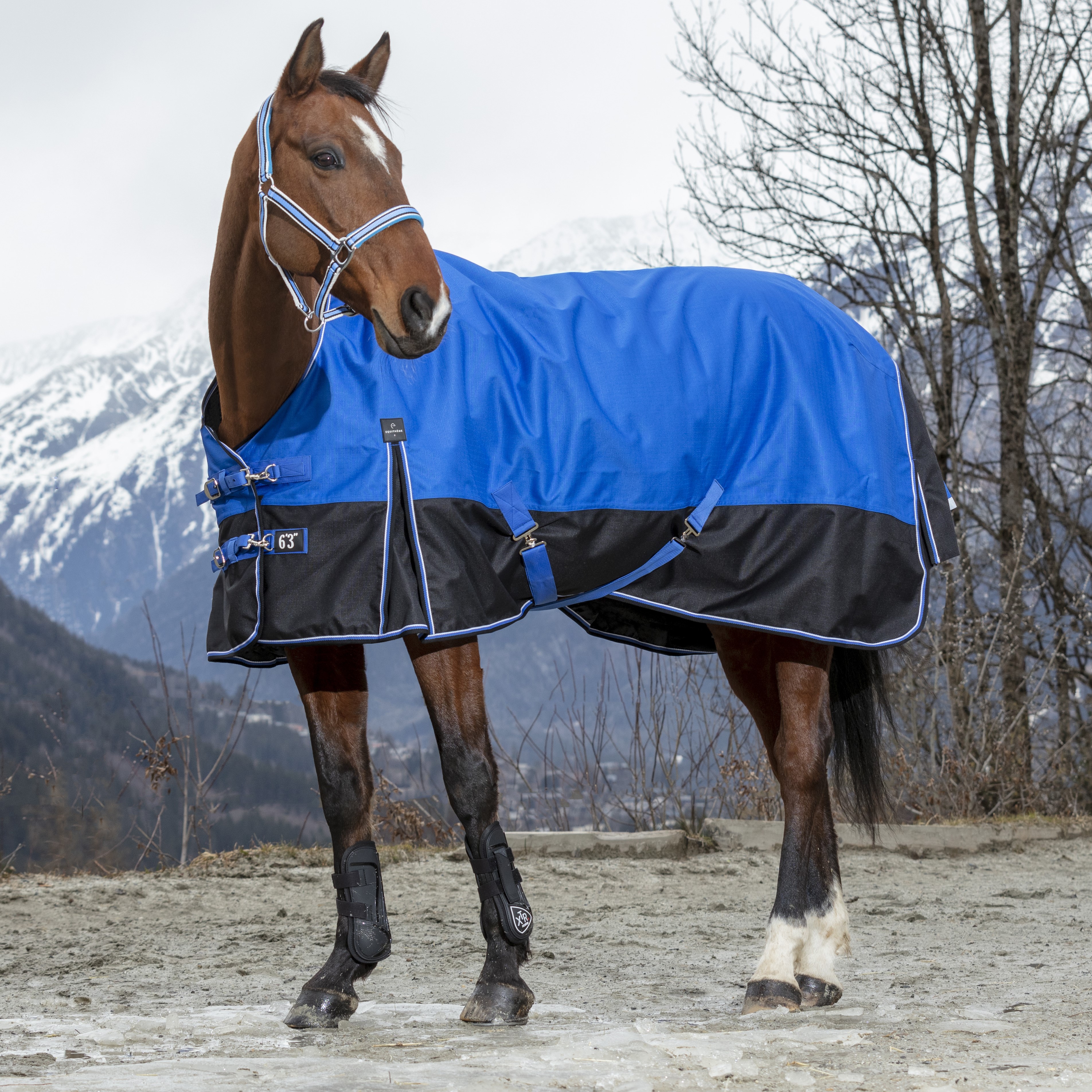 Cobertura Equithème Tyrex 1200D Aisance High Neck Azul / preto