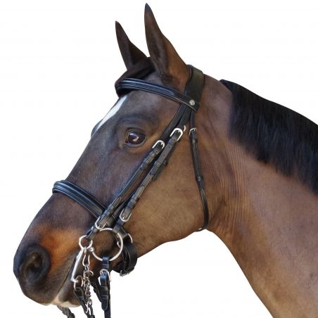 Bridão Pull Back Euro Canter