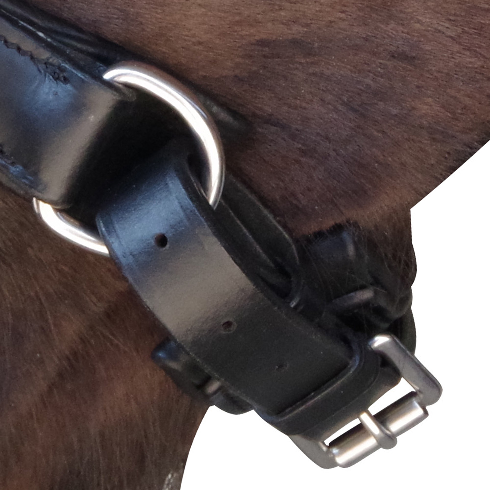 Bridão Pull Back Euro Canter Preto