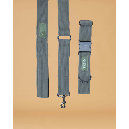 Conjunto de Coleira e Trela GEM