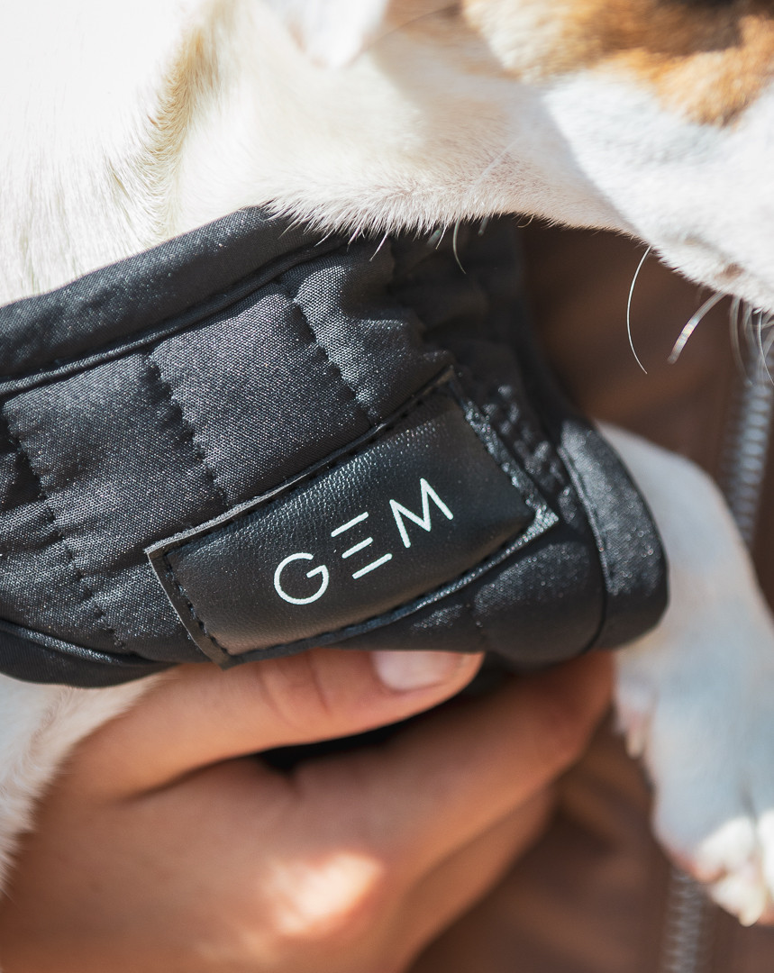 Couverture pour chien GEM Couverture pour chien GEM