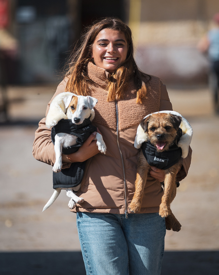 Couverture pour chien GEM