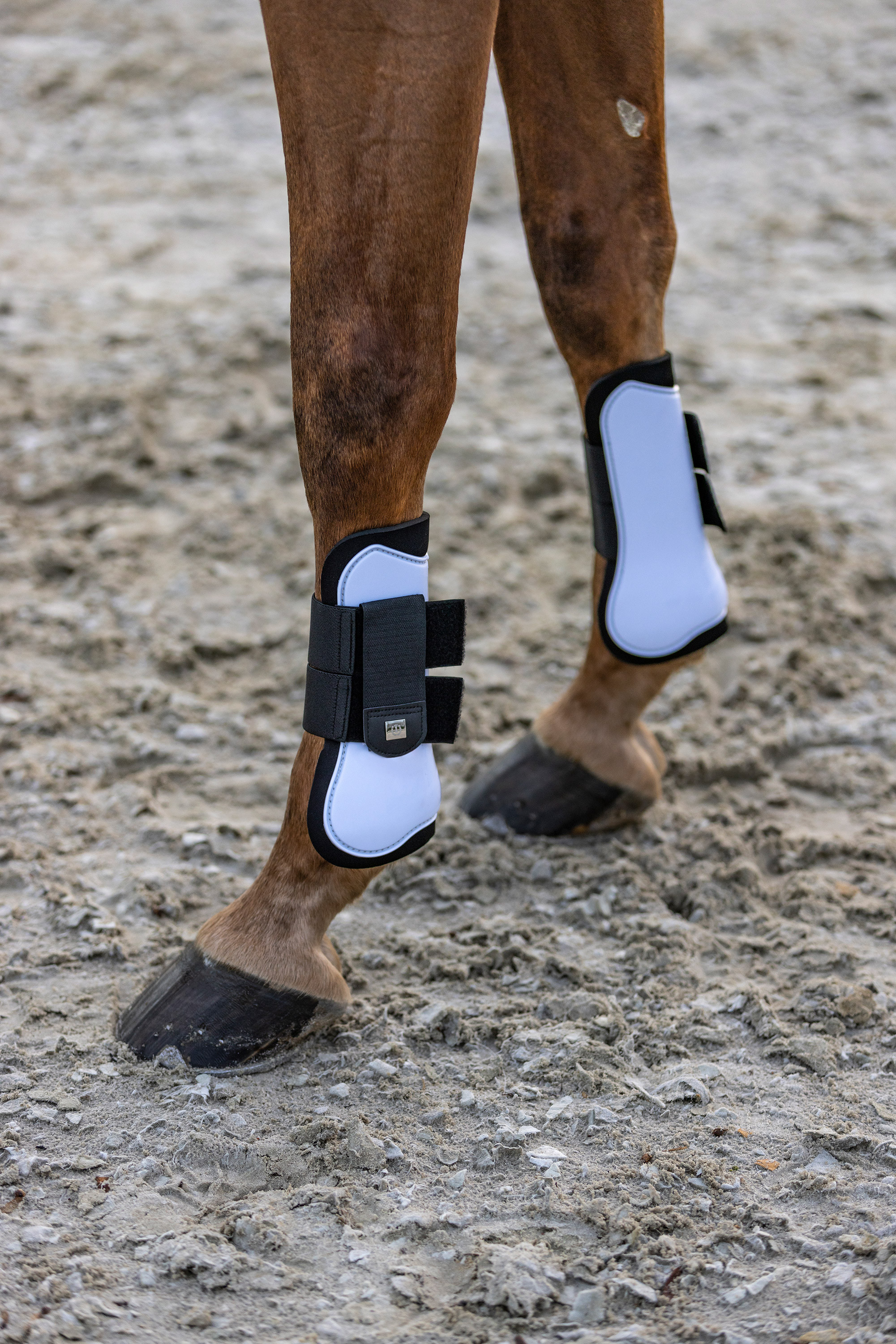 Guêtres Imperial Riding Lovely Vert sauge Guêtres Imperial Riding Lovely Vert sauge