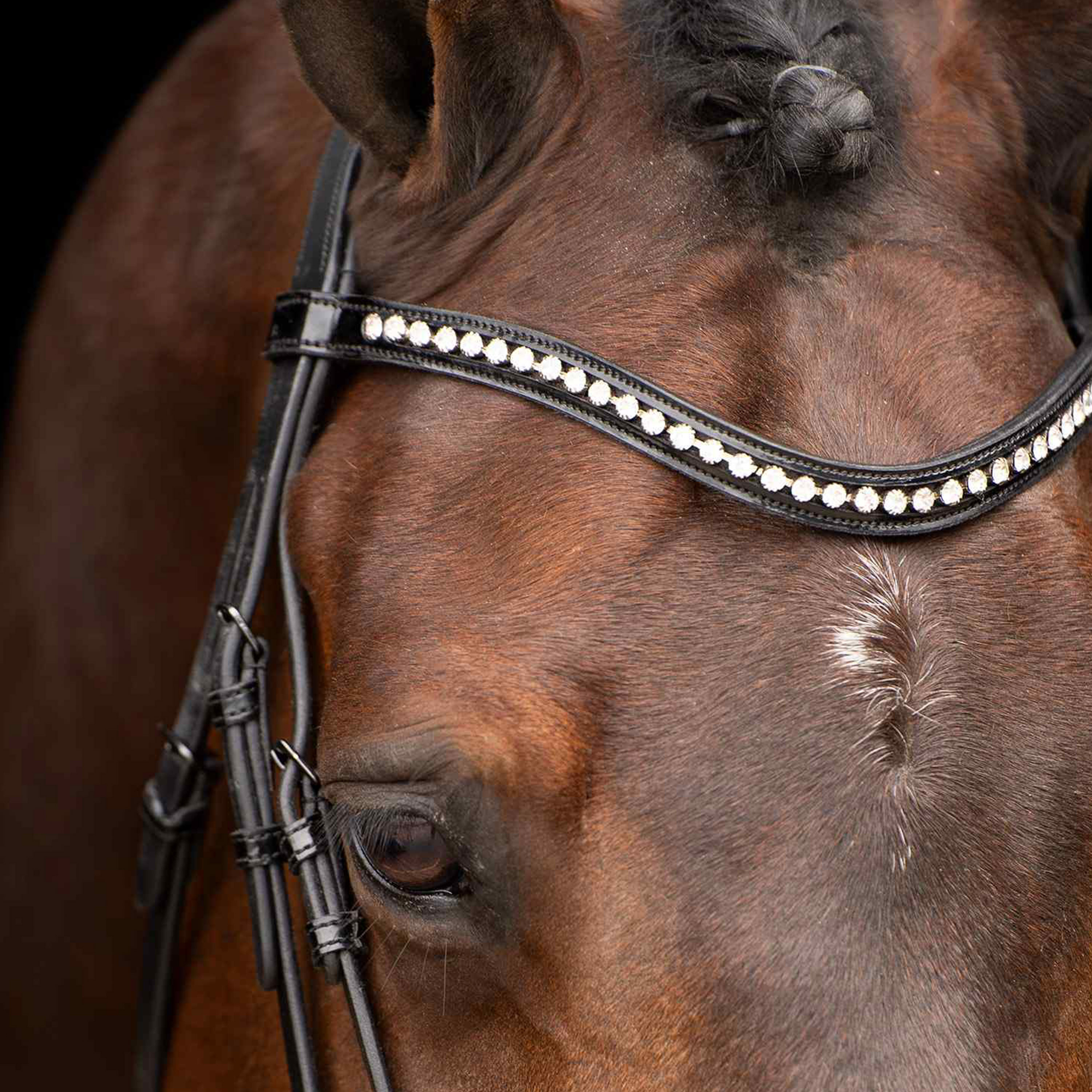 Bridon Impérial Riding Athena Preto