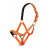 Cabresto Stars Softice forro macio HKM - Laranja fluorescente