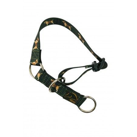 Coleira para cão Beagle HKM