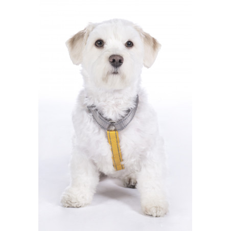 Arnês para cão Anam Cara Basic nylon HKM