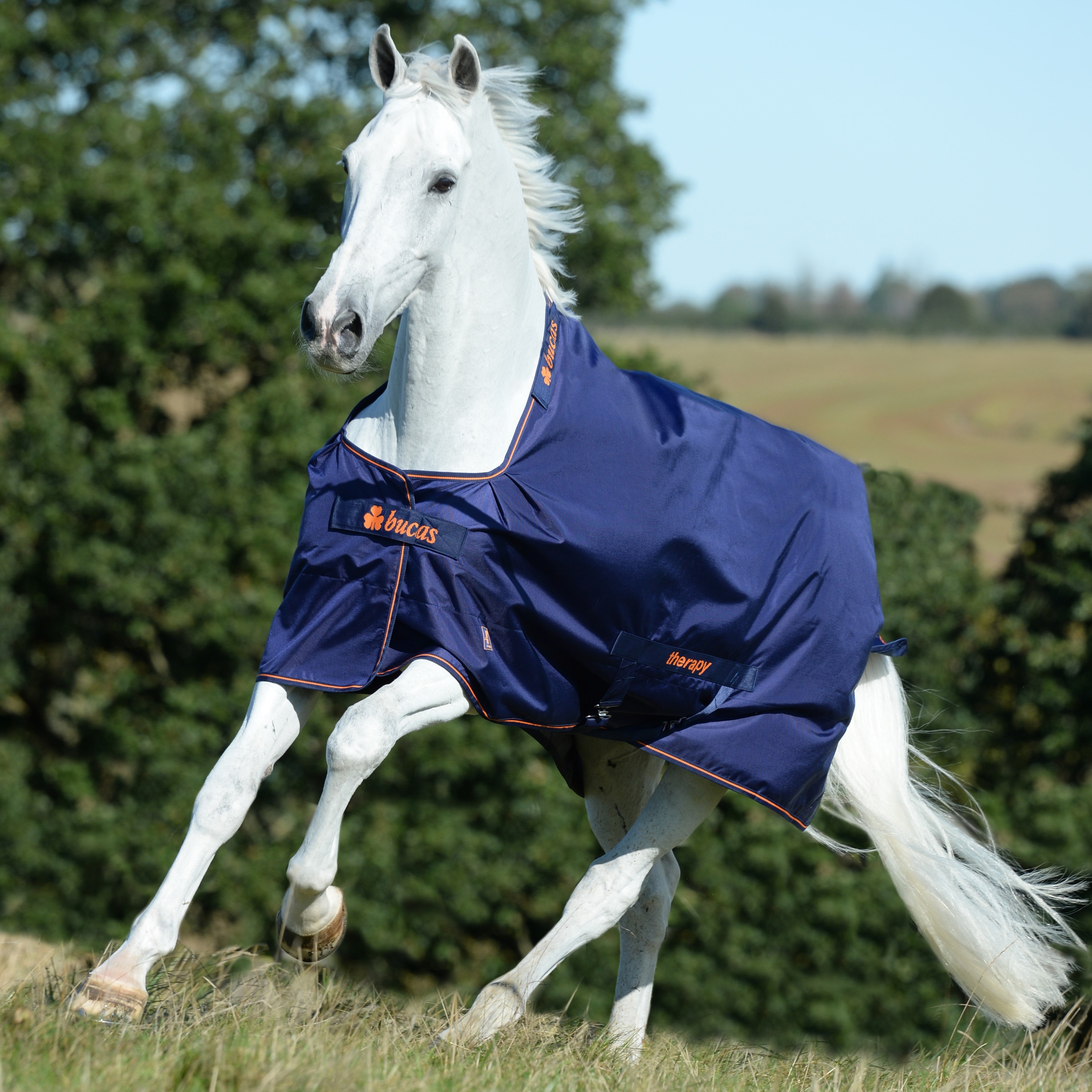 Cobertura Bucas Therapy Turnout Light 50g Marinho / laranja Azul