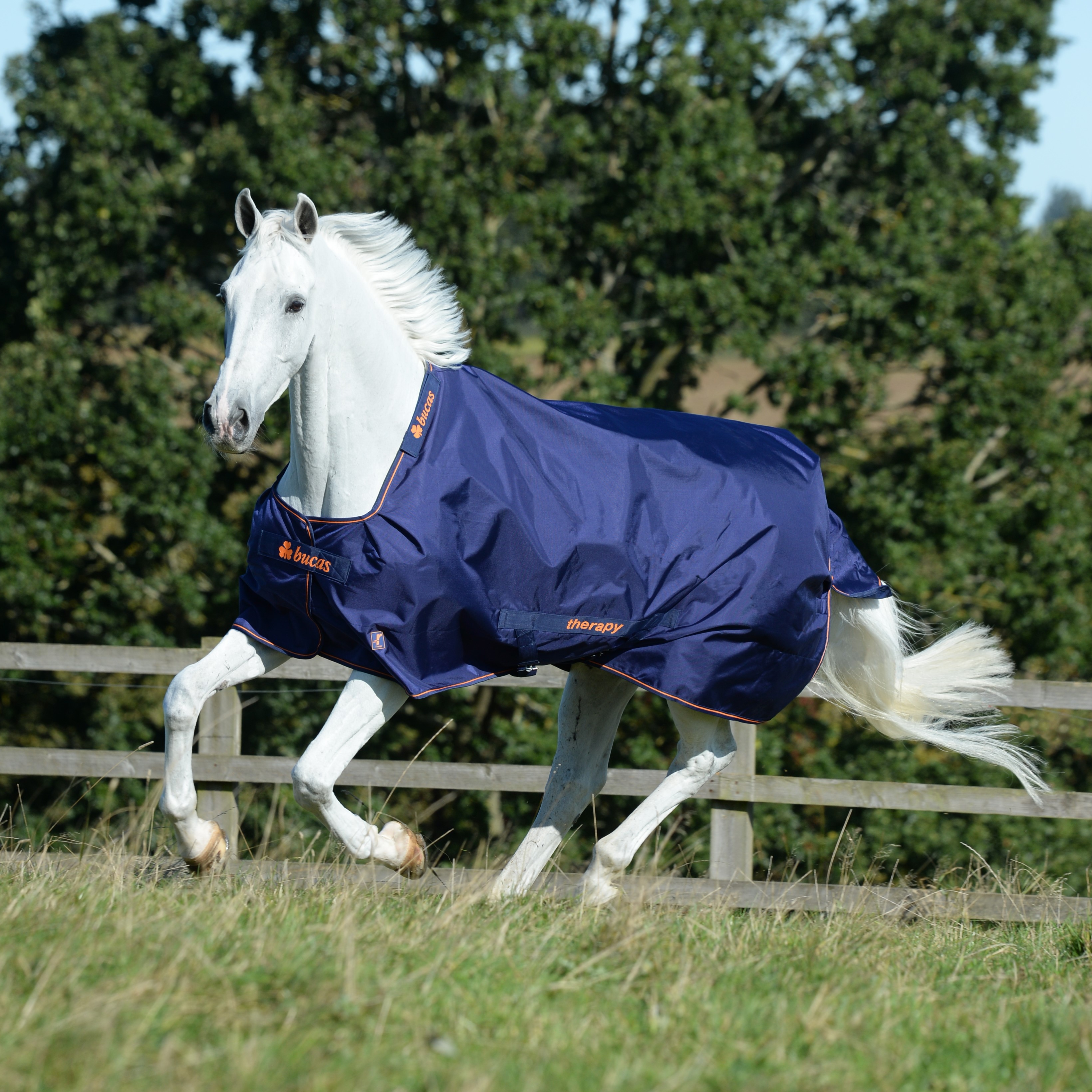 Cobertura Bucas Therapy Turnout Light 50g Marinho / laranja Azul Cobertura Bucas Therapy Turnout Light 50g Marinho / laranja Azul