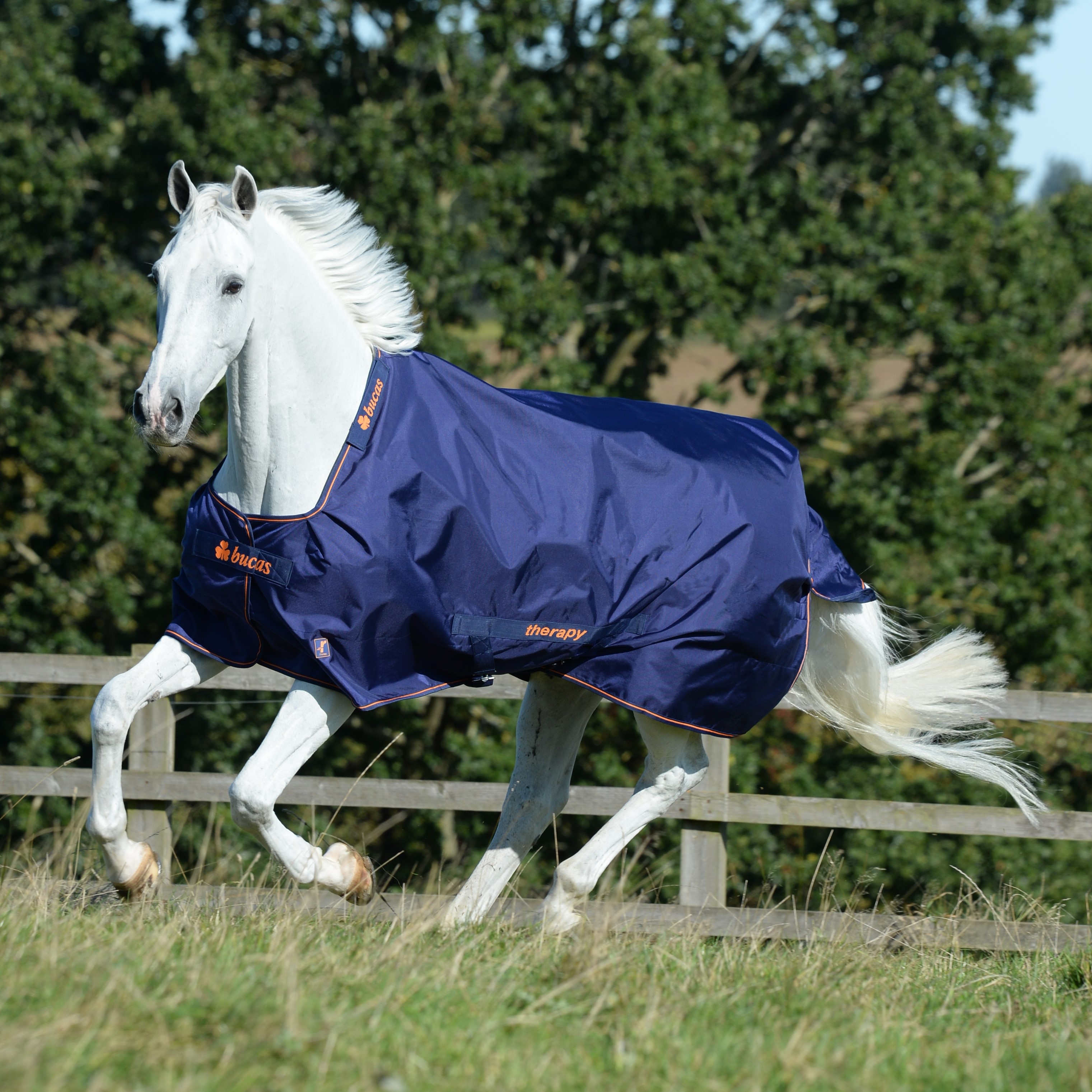 Cobertura Bucas Therapy Turnout 150g Marinho / laranja Azul