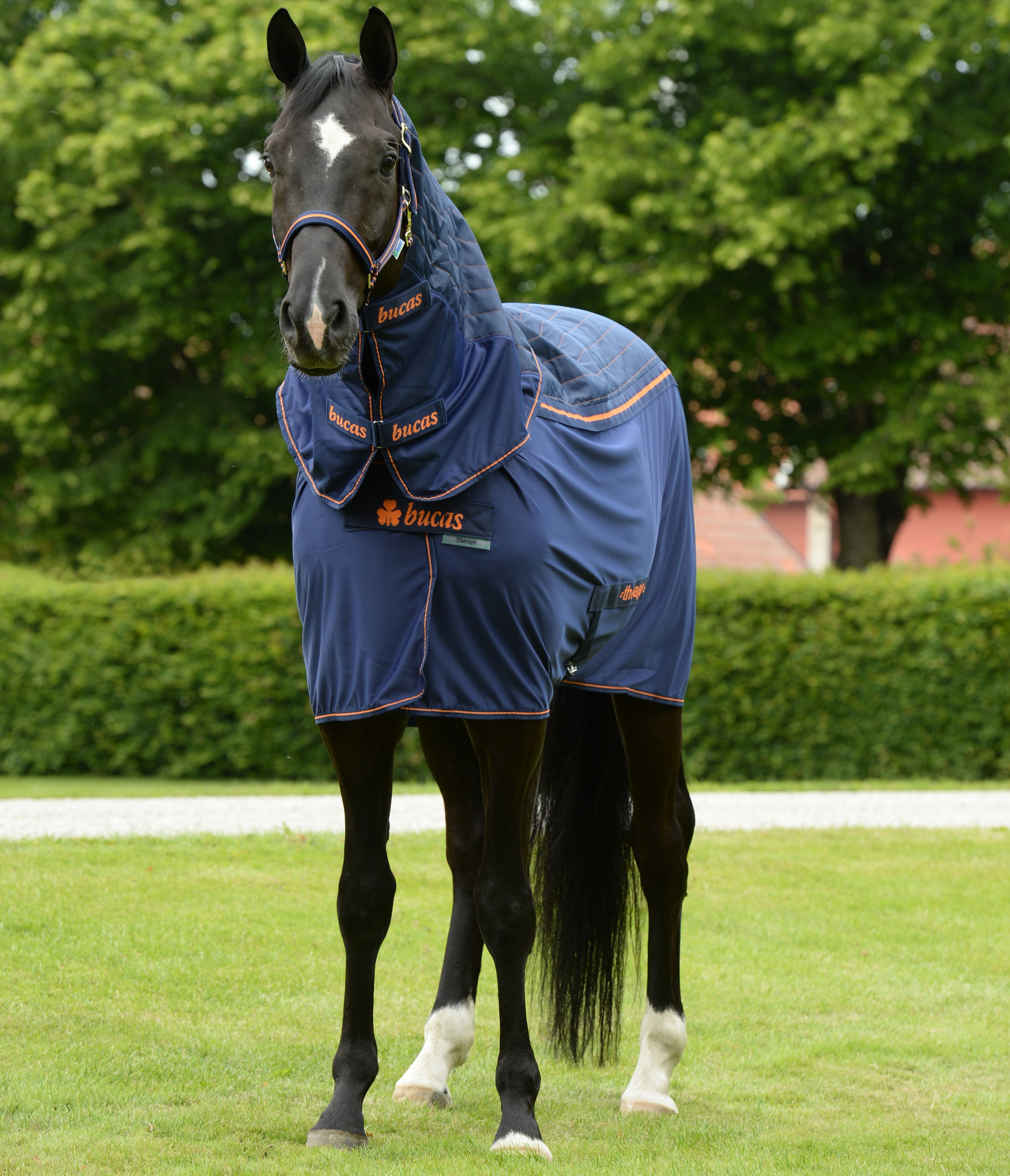 Cobertura Bucas Therapy Cooler Big Neck Marinho / laranja Azul