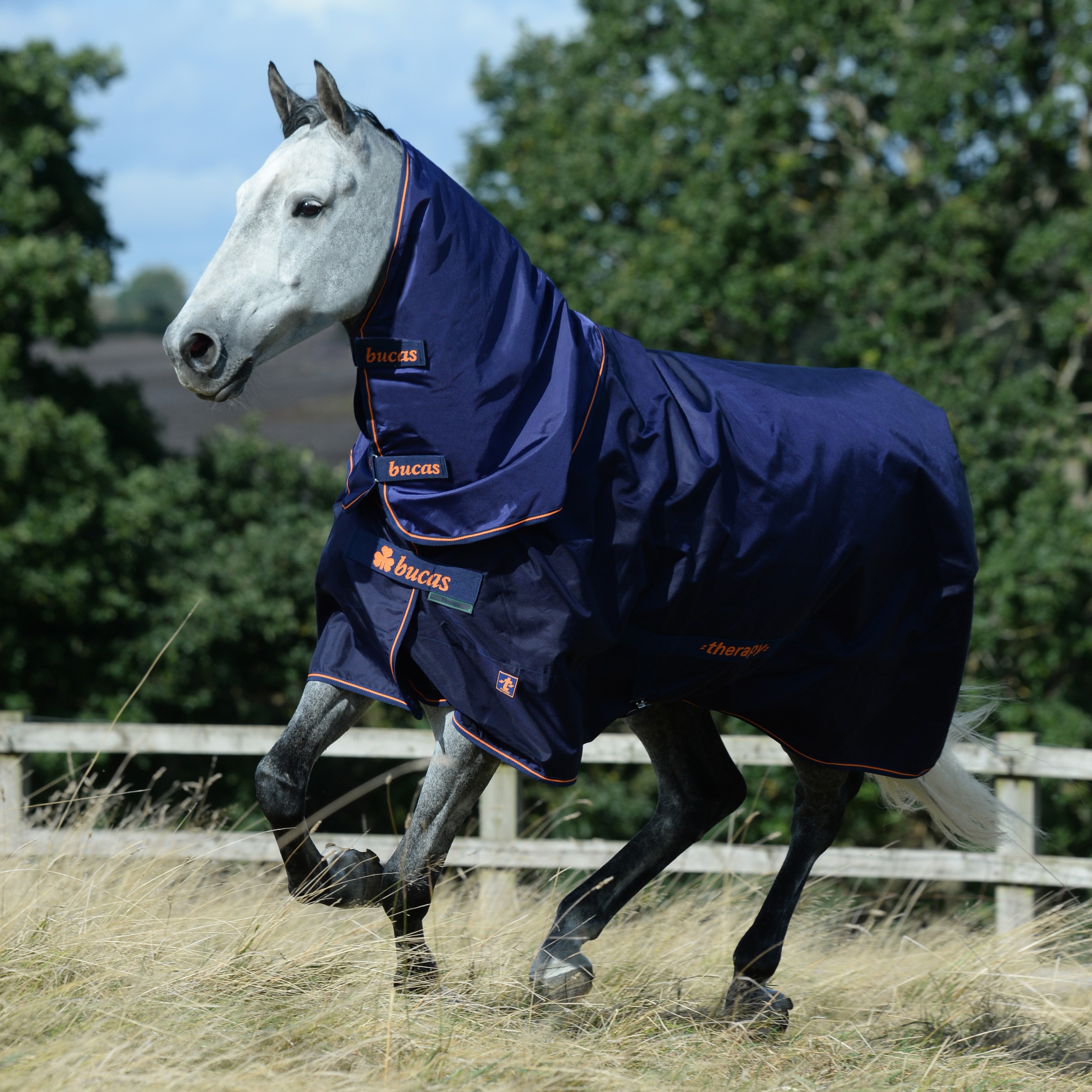 Pescoceira Bucas Therapy Turnout Neck Marinho / laranja Azul