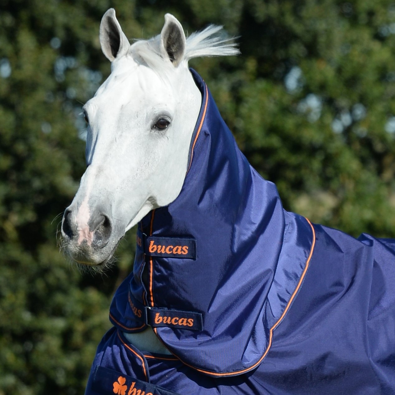 Pescoceira Bucas Therapy Turnout Neck Marinho / laranja Azul