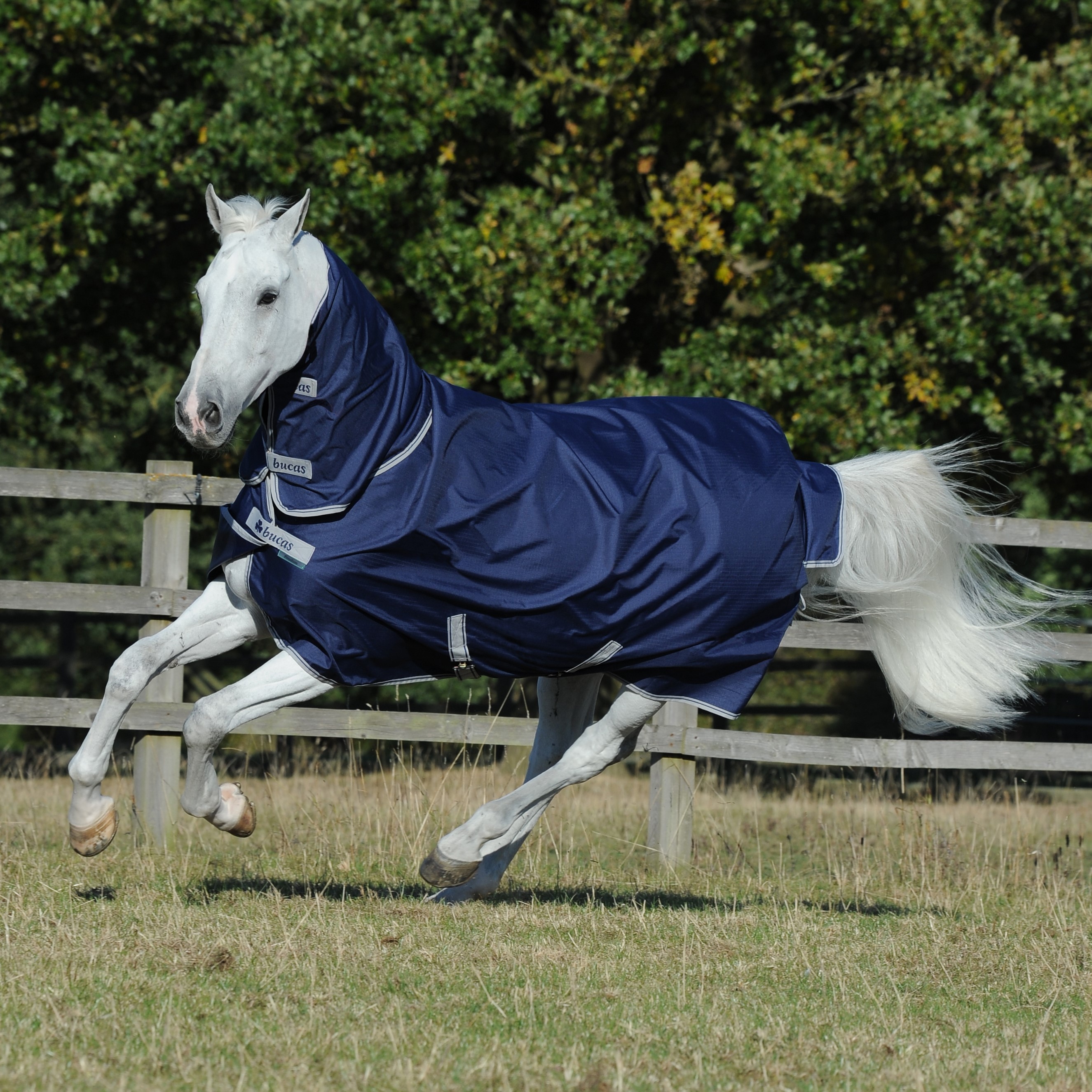 Capa Bucas Freedom Turnout Pescoço Inteiro Leve Azul-marinho