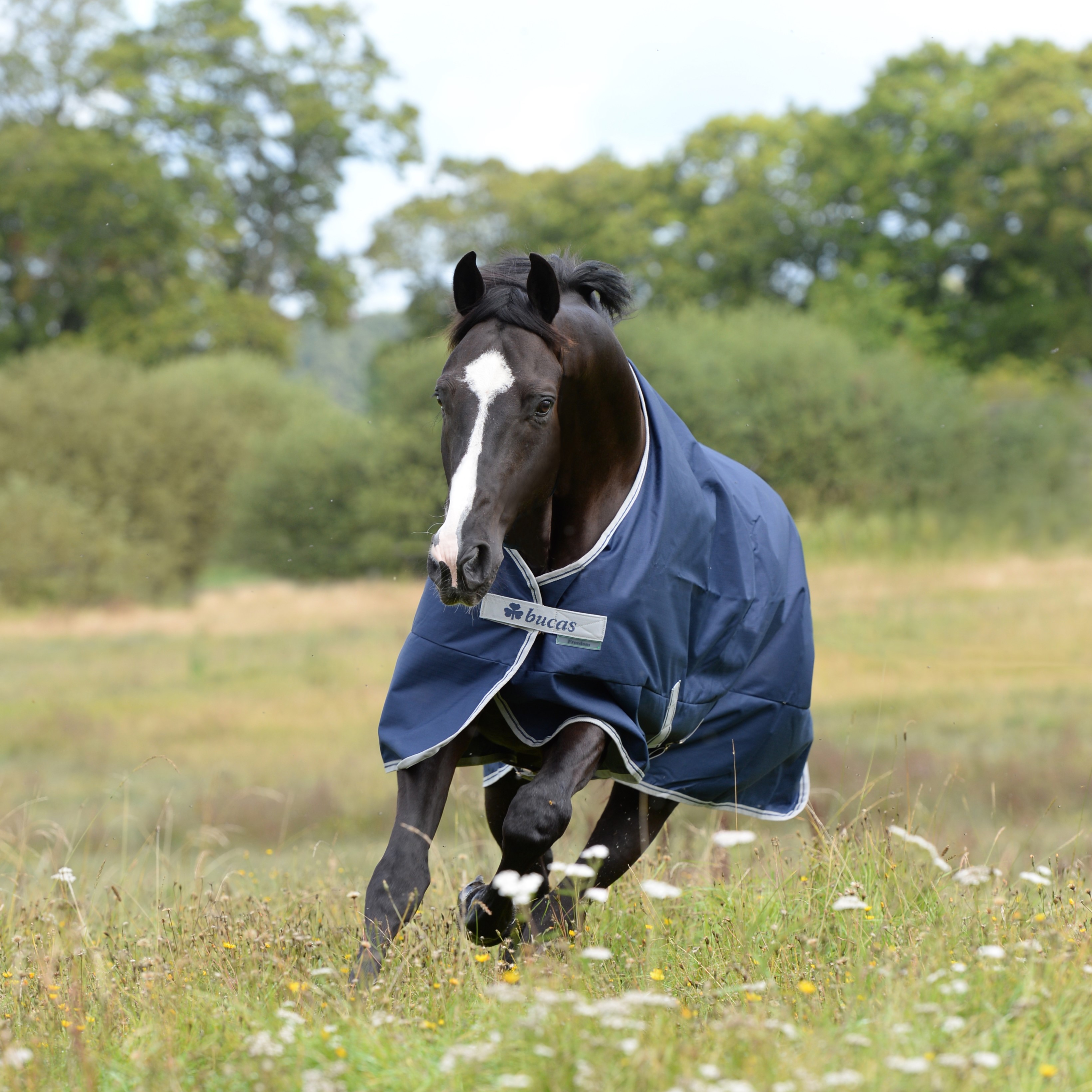 Capa Bucas Freedom Turnout 150g Marinho / prateado Azul