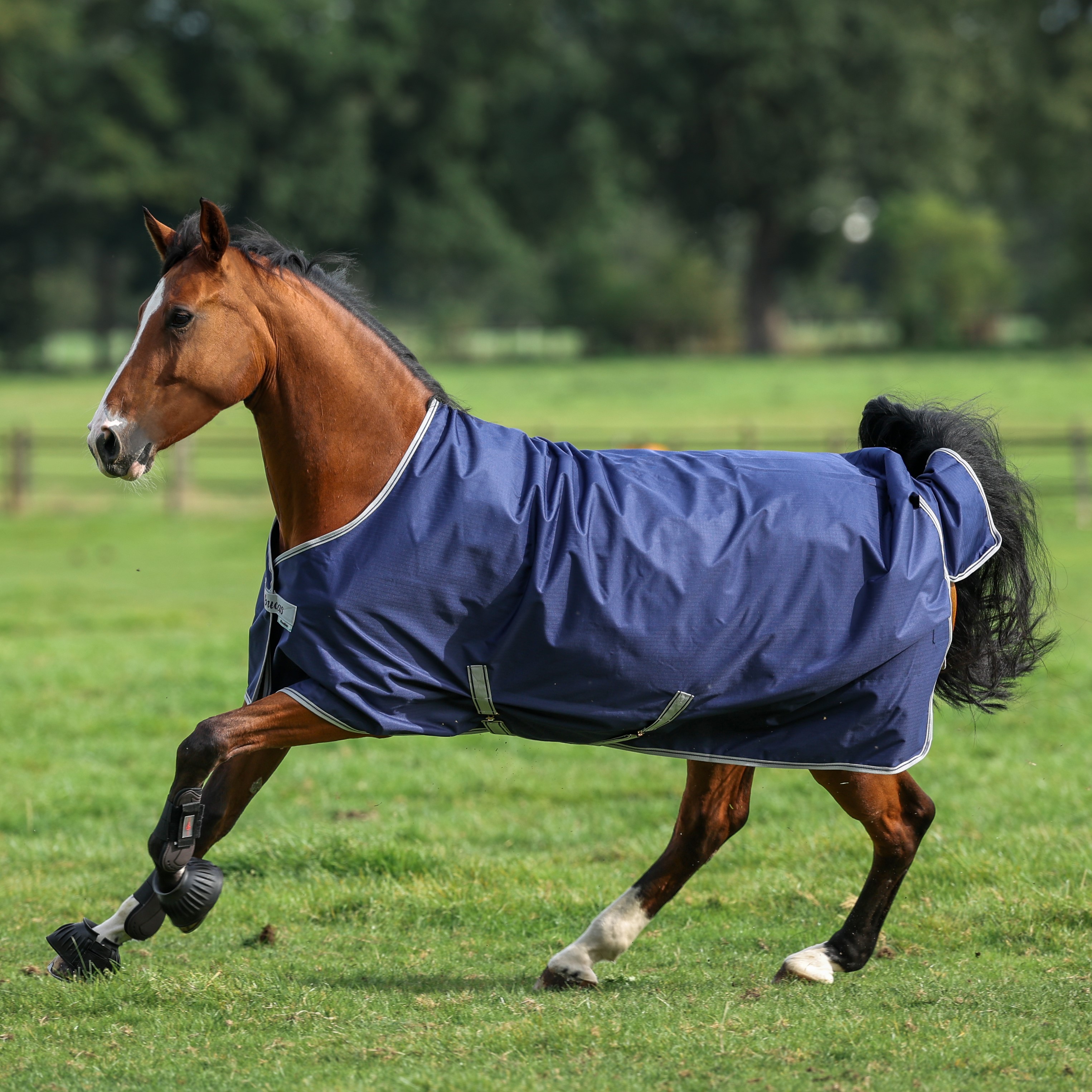 Capa Bucas Freedom Turnout 150g Marinho / prateado Azul