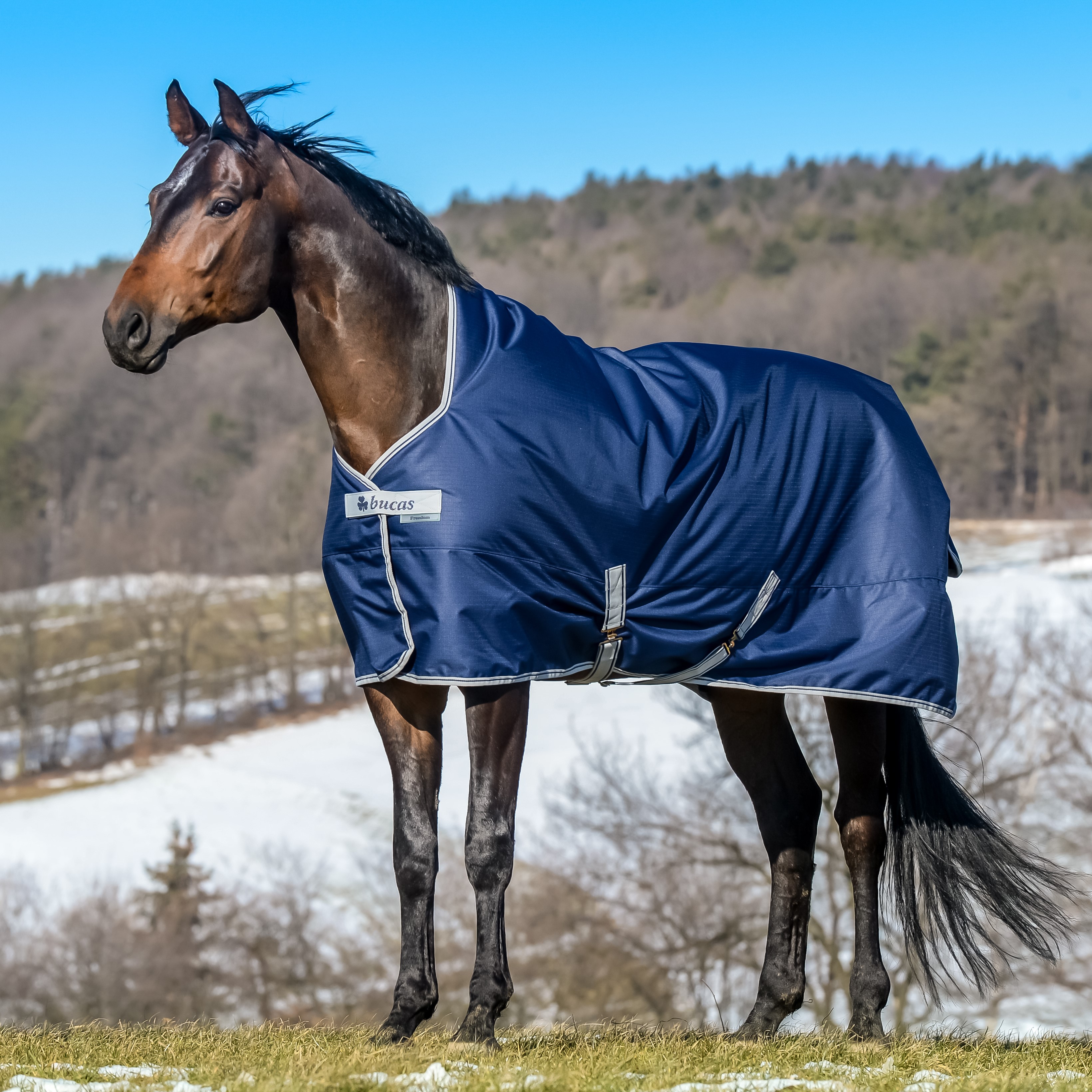 Capa Bucas Freedom Turnout High Neck 150g Marinho / prateado Azul Capa Bucas Freedom Turnout High Neck 150g Marinho / prateado Azul