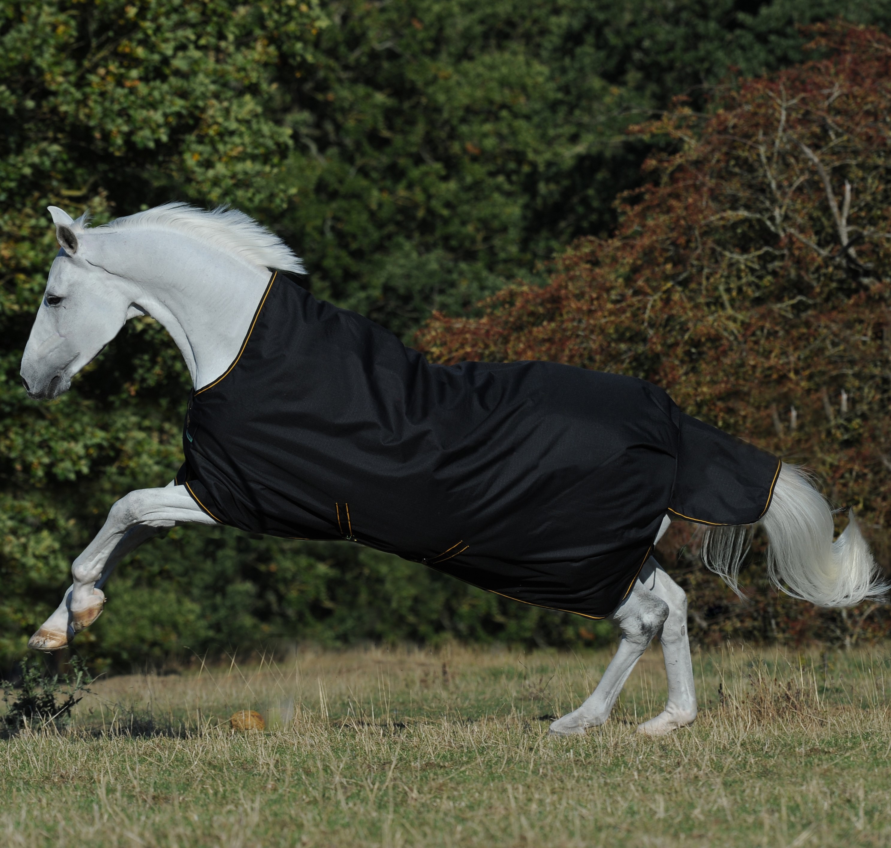 Manta Bucas Irish Turnout High Neck Extra 300g Preto / dourado