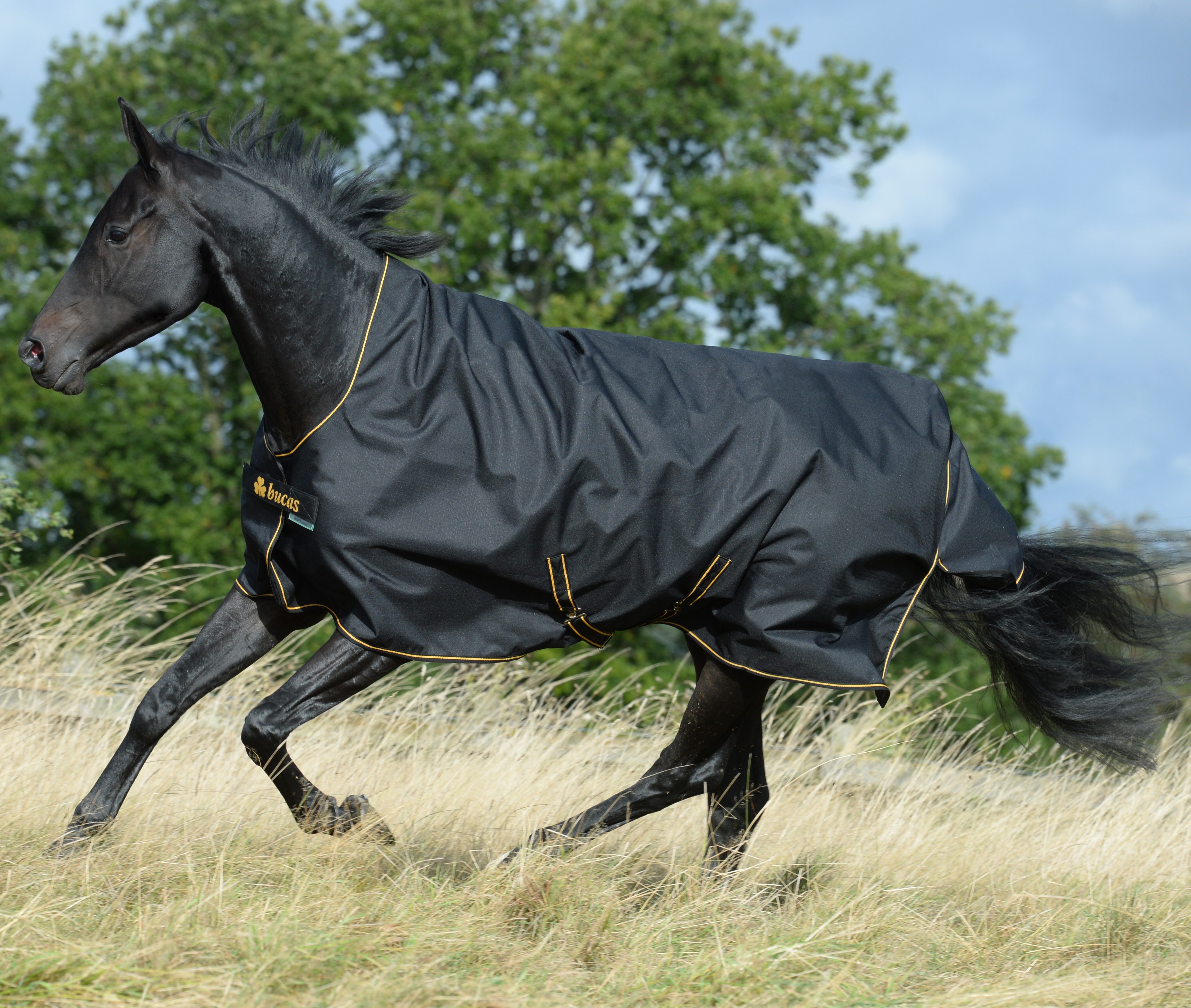 Capa Bucas Irish Turnout High Neck Light 50g Preto / dourado