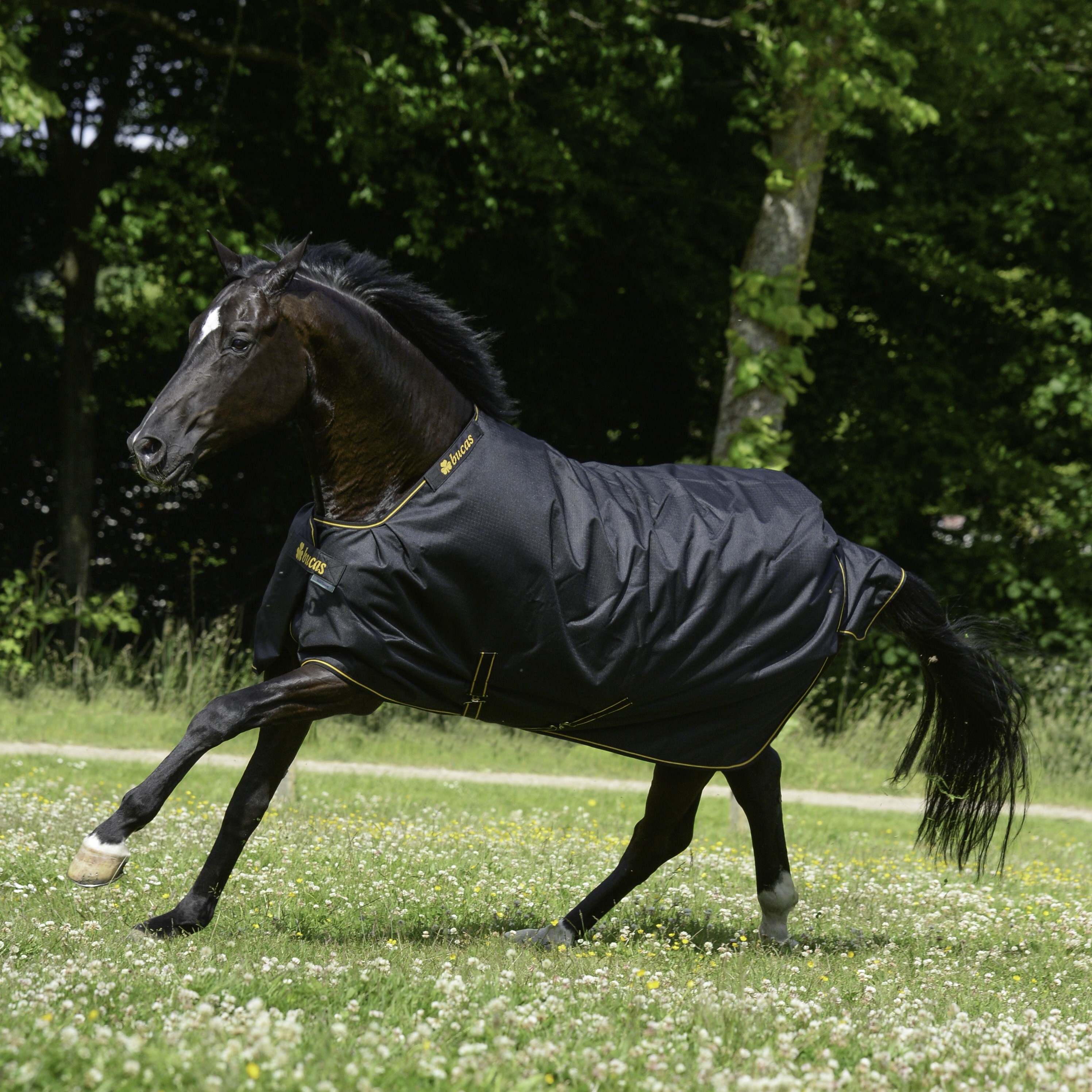 Cobertura Bucas Irish Turnout Light 50g Preto / dourado