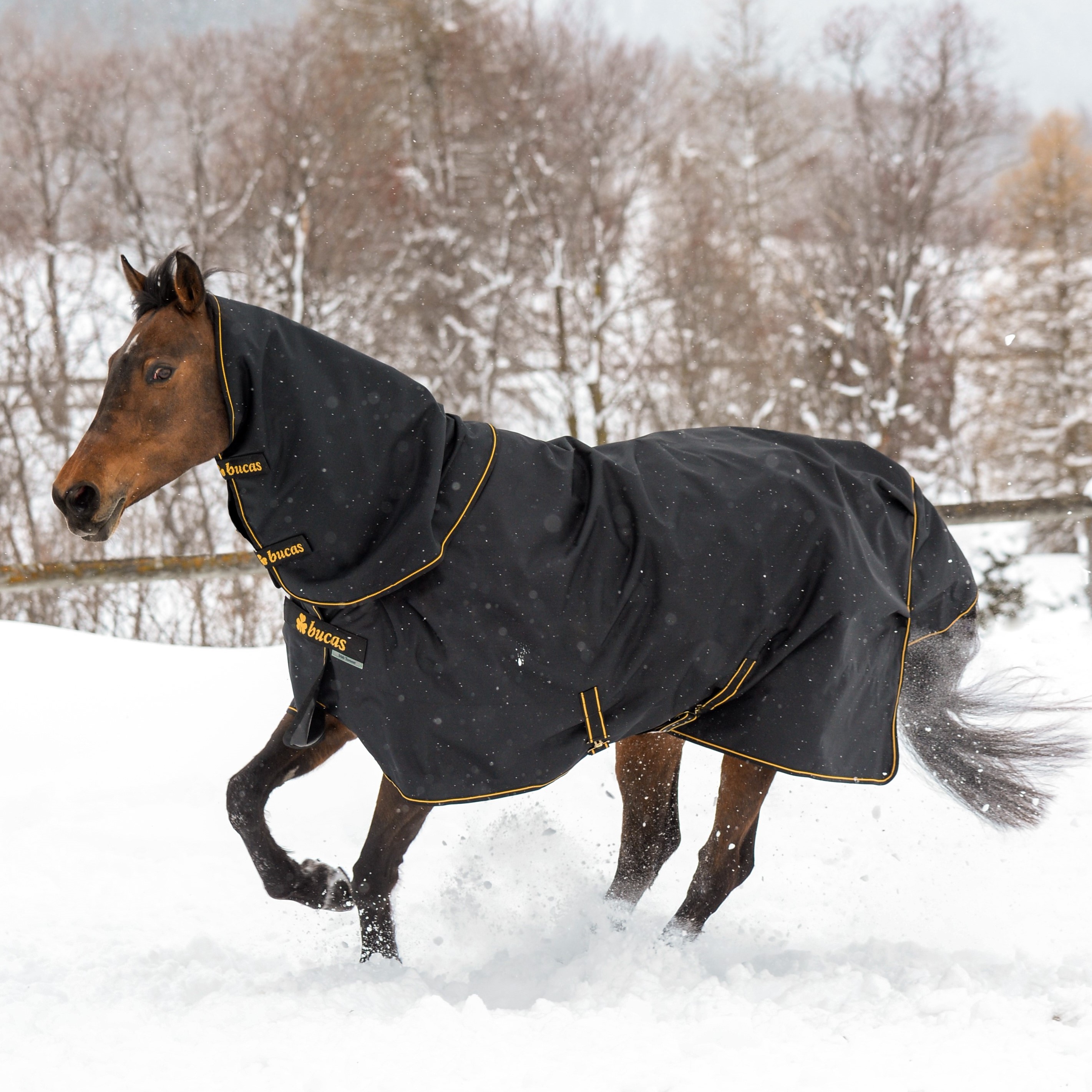 Cobertura Bucas Irish Turnout Light 50g Preto / dourado