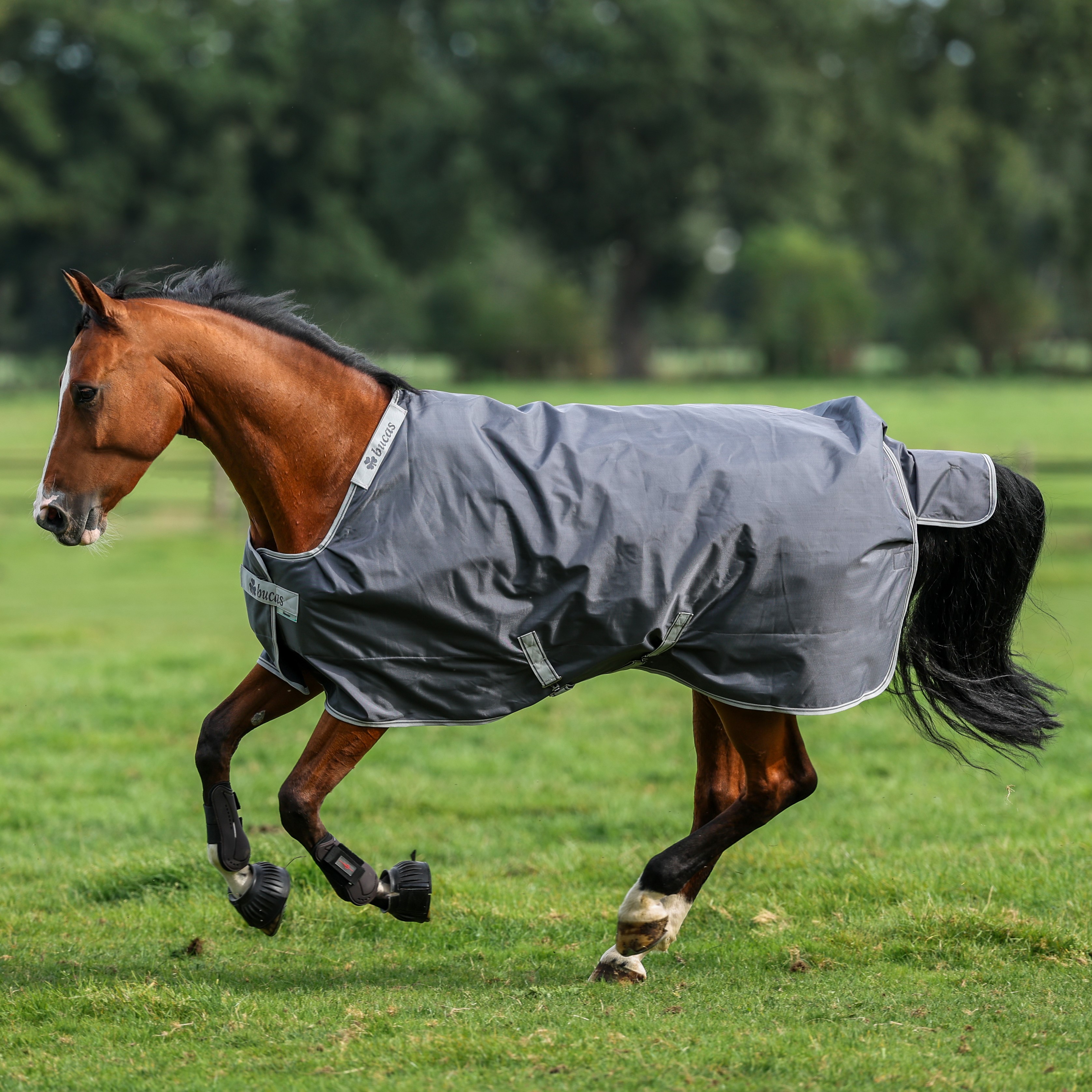 Capa Bucas Smartex Rain Portão de Ferro Cinzento Capa Bucas Smartex Rain Portão de Ferro Cinzento