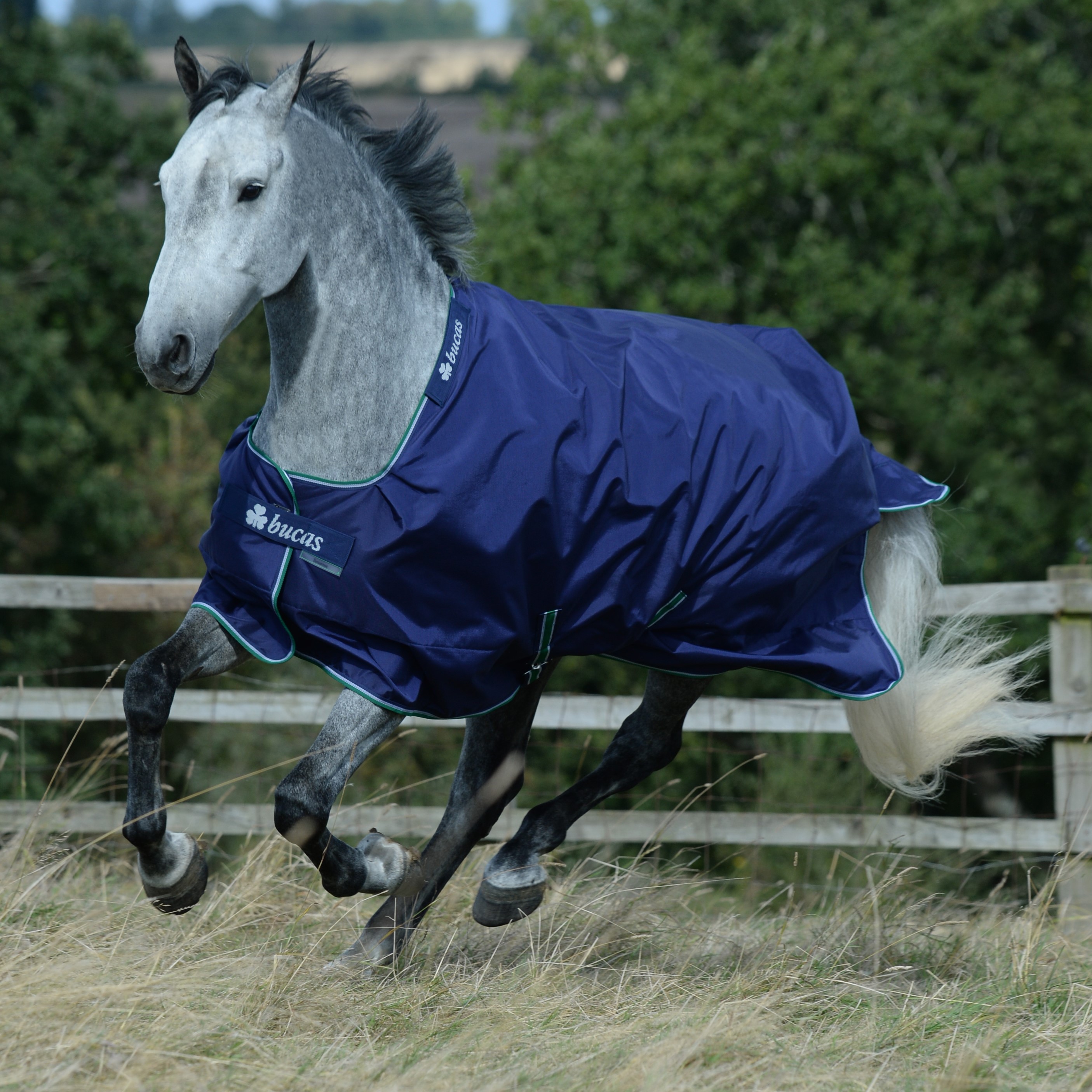 Cobertura Bucas Smartex Big Neck Extra 300g Azul