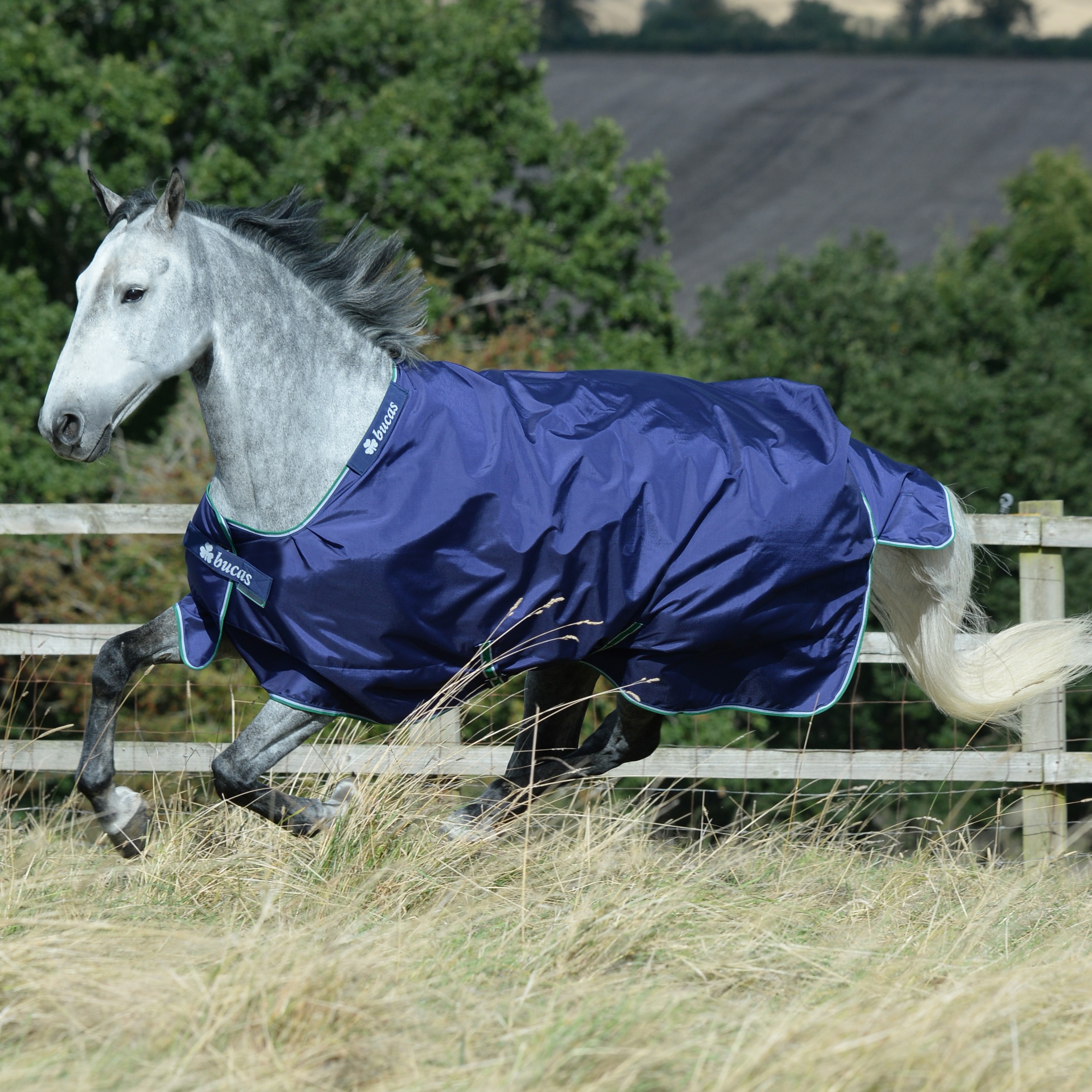 Cobertura Bucas Smartex Big Neck Extra 300g Azul