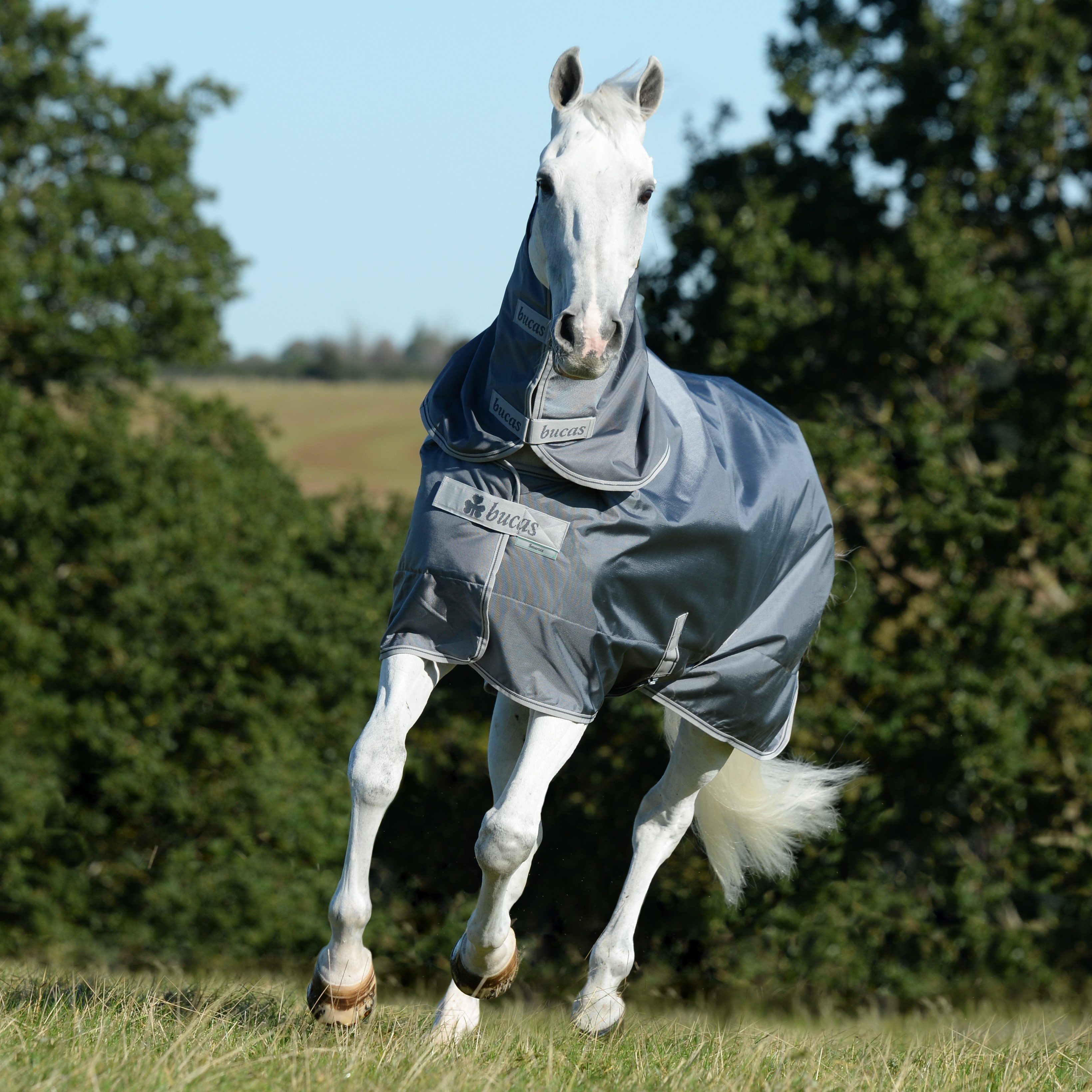 Pescoceira Bucas Smartex Combi Neck Azul