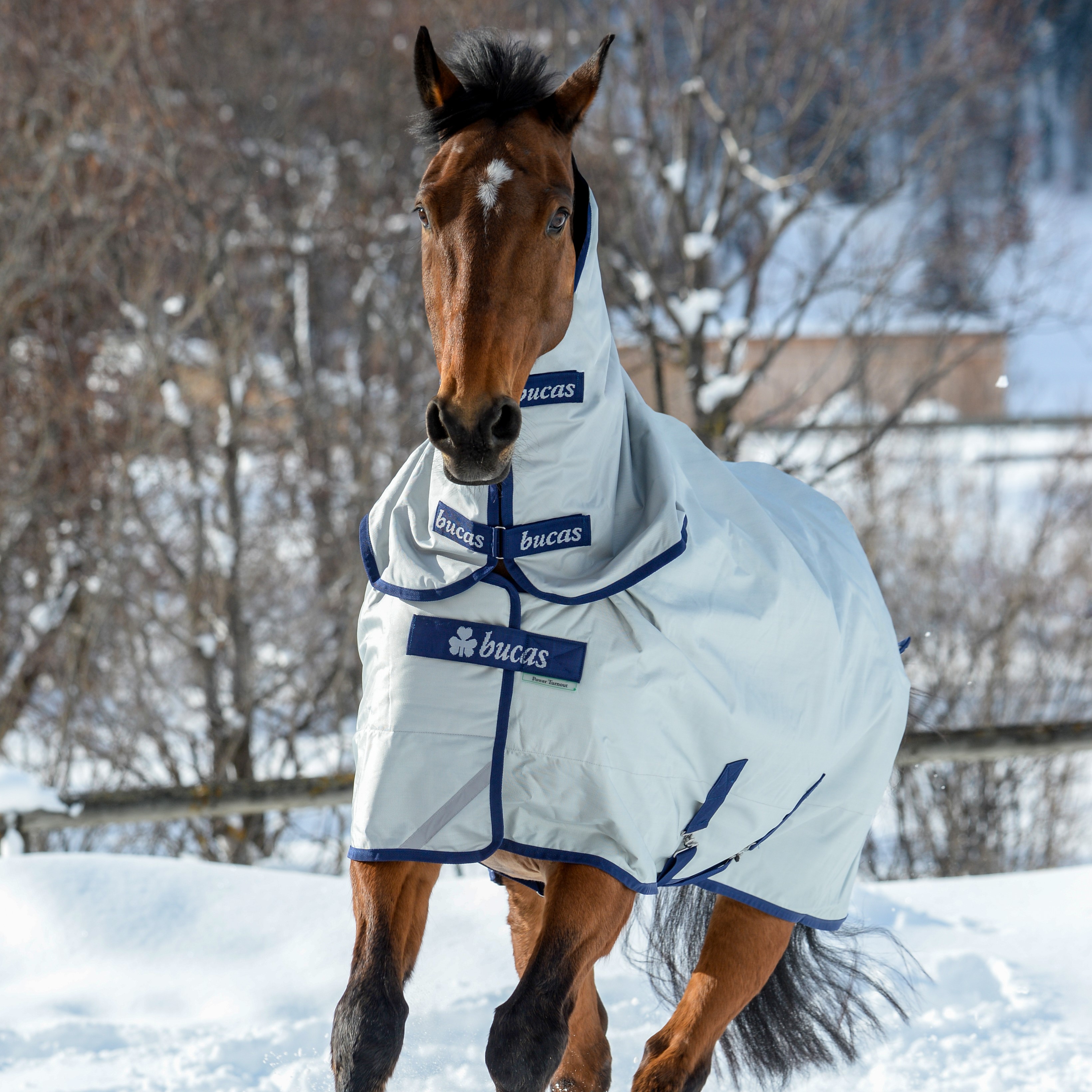 Capa Bucas Power Turnout Extra 300g Prata