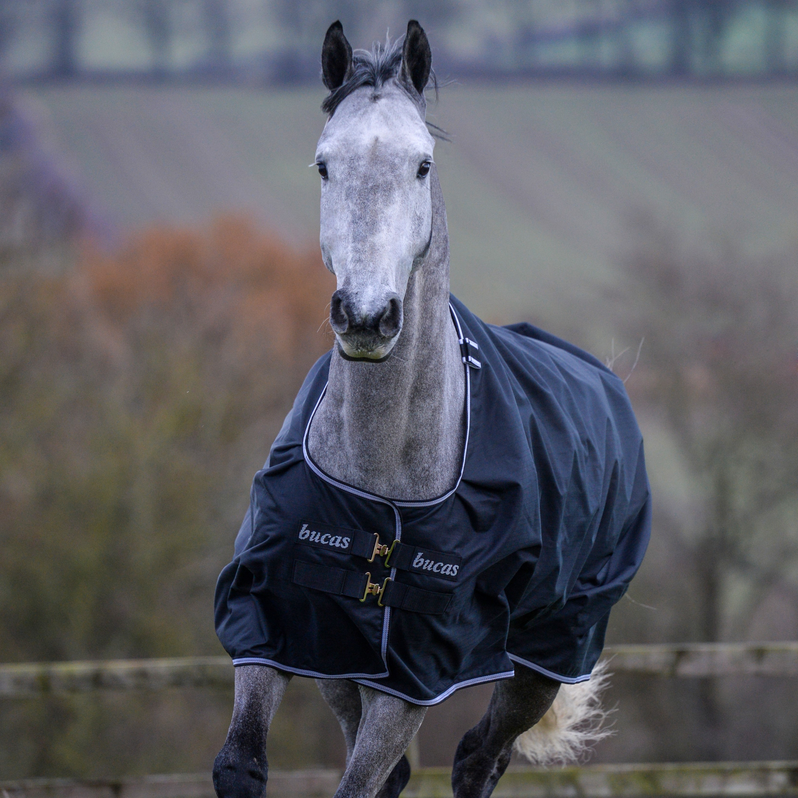 Bucas Trot Turnout 50g deken Preto / branco